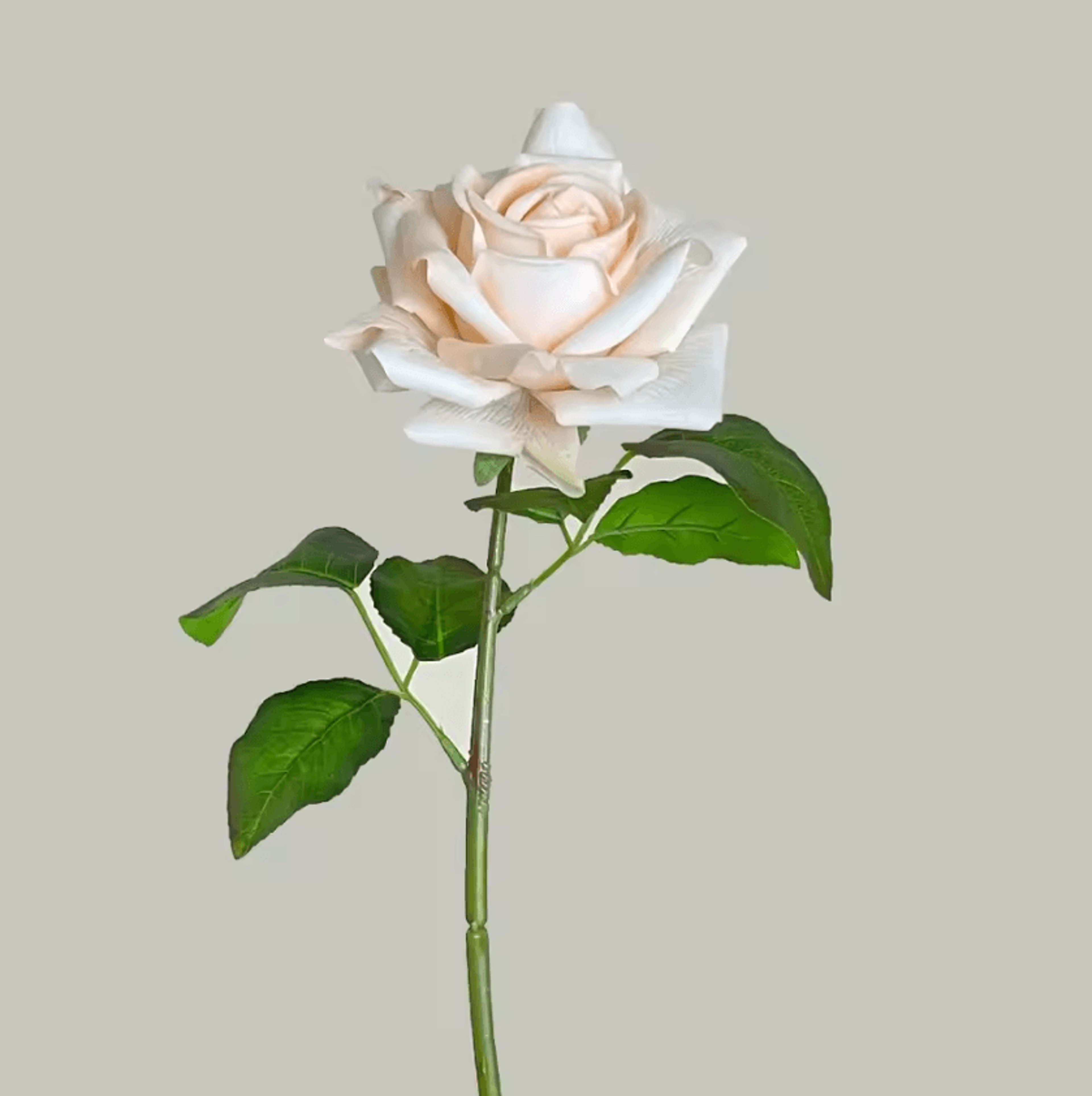 Real Touch Multicolor Artificial Rose Single Stem 10