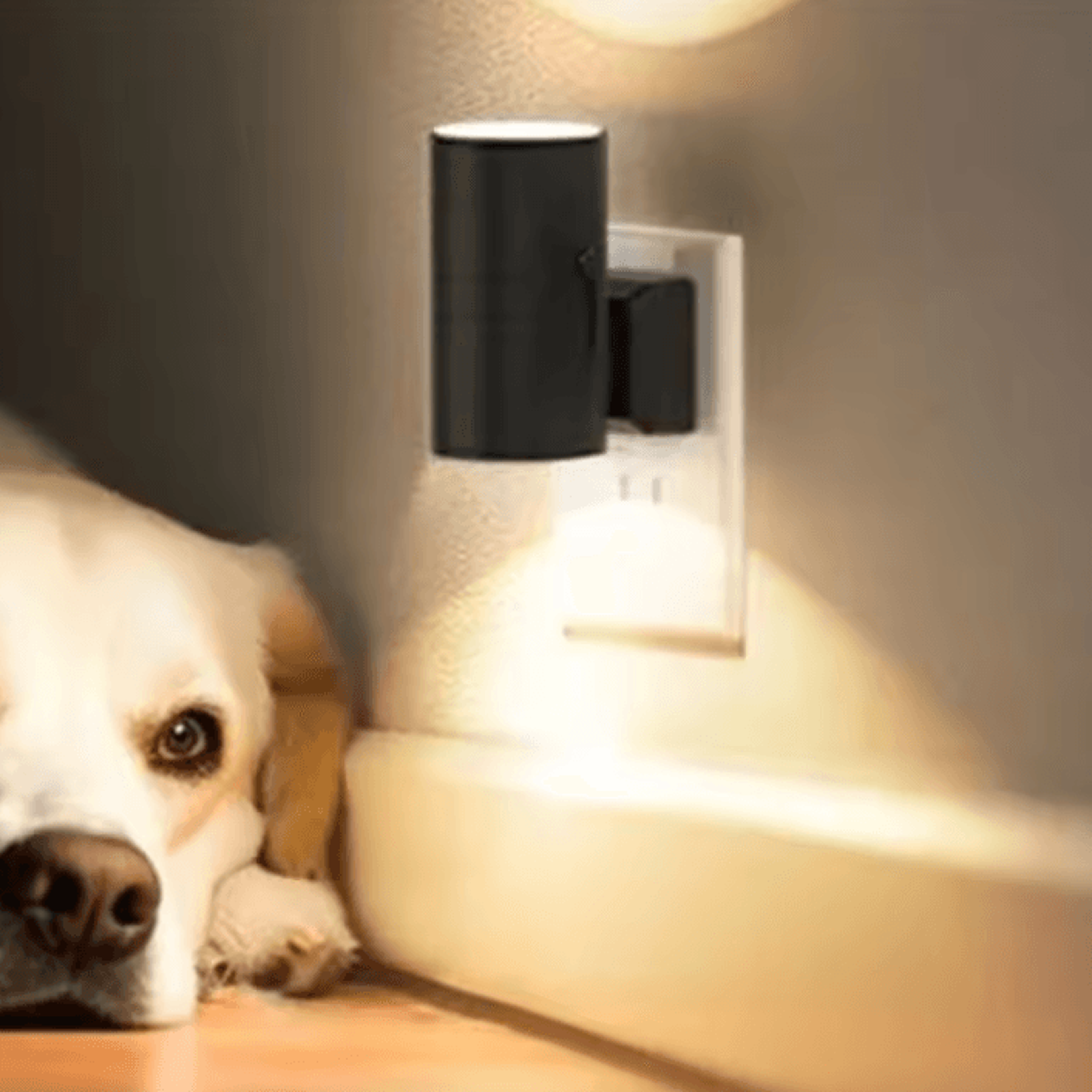 Cylindrical LED Plug In Wall Light Modern Night Lamp 2