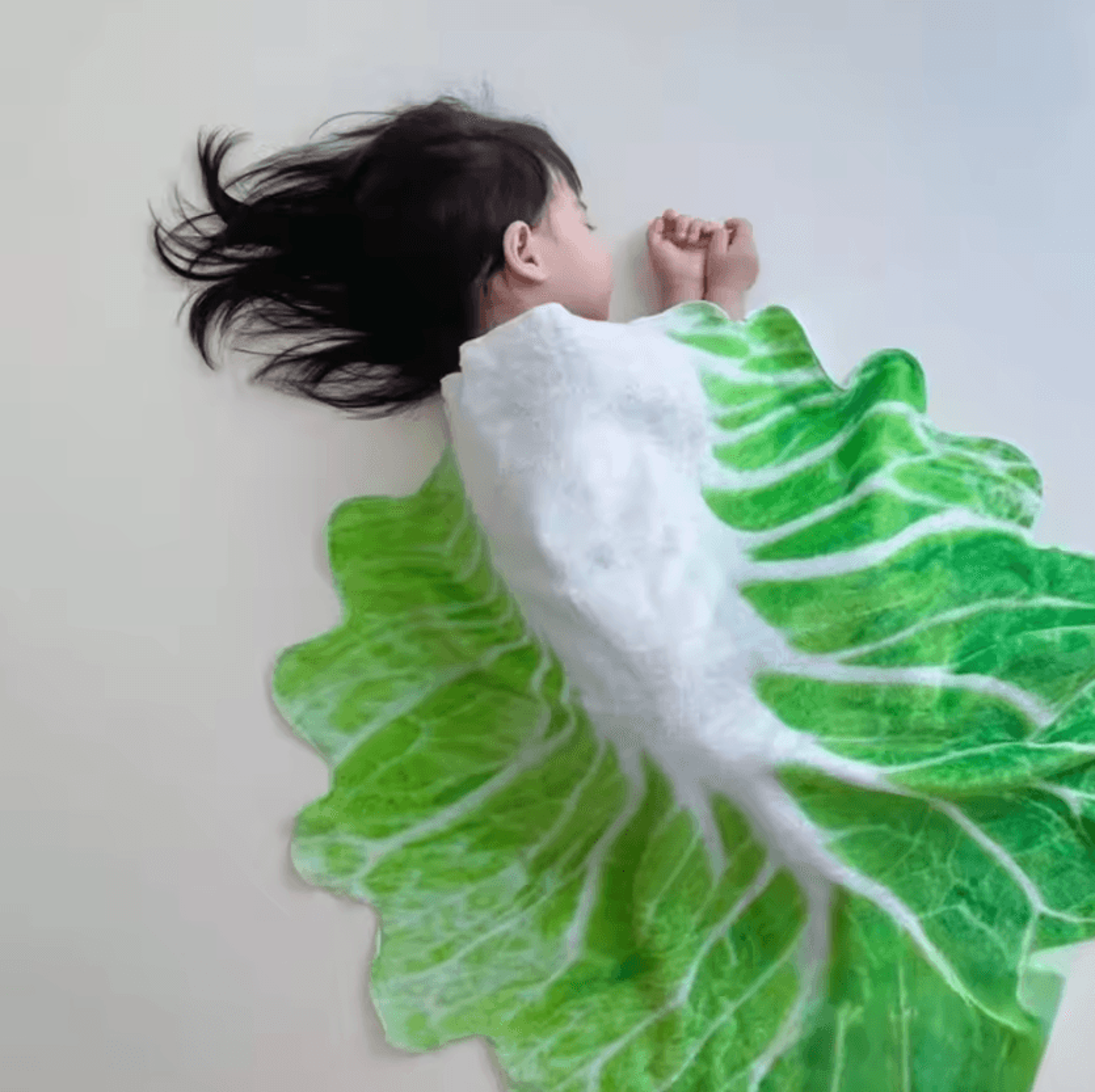 Funny Cabbage Flannel Throw Blanket 1