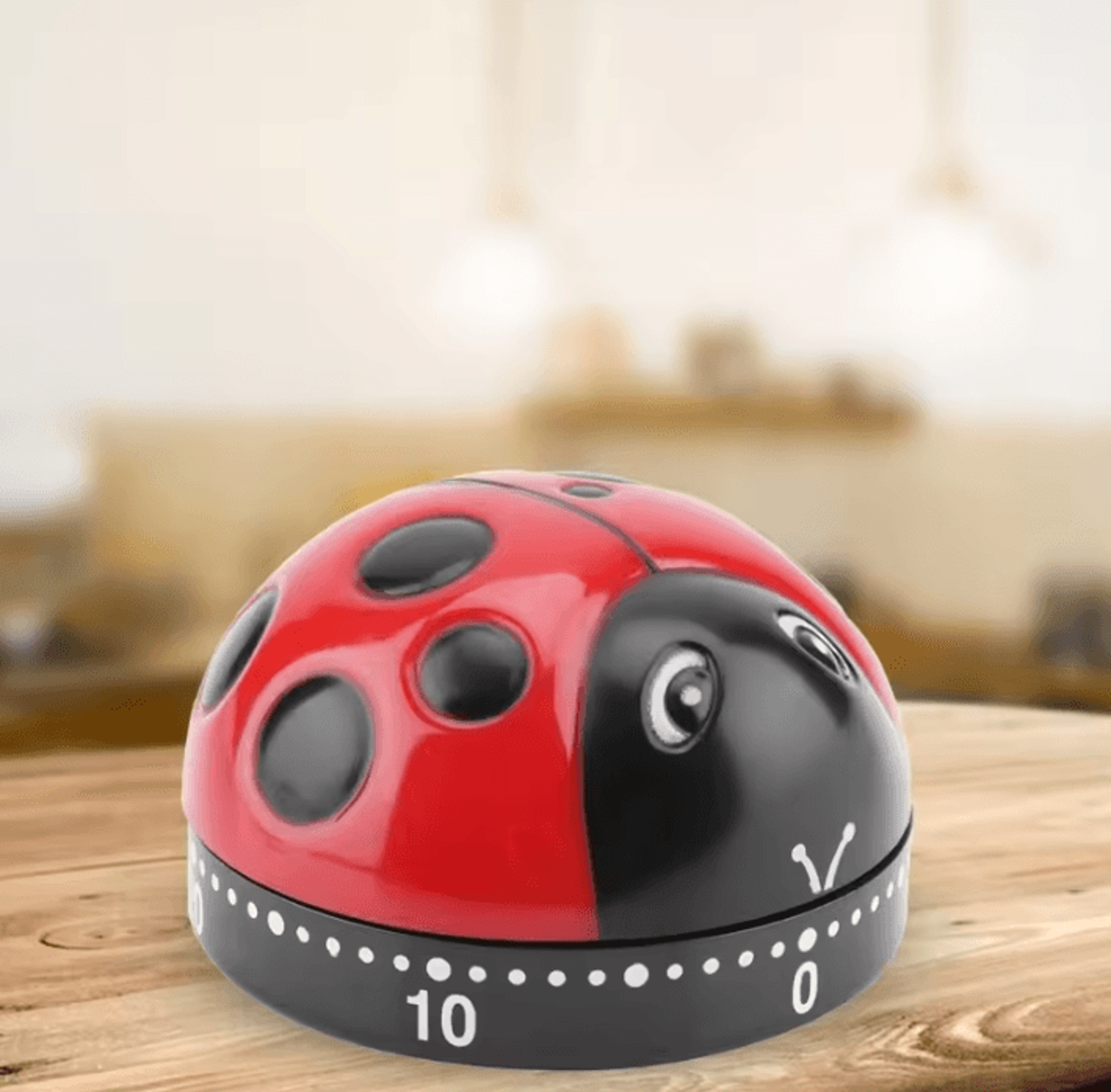 Ladybug 60 Minute Mechanical Kitchen Timer 2