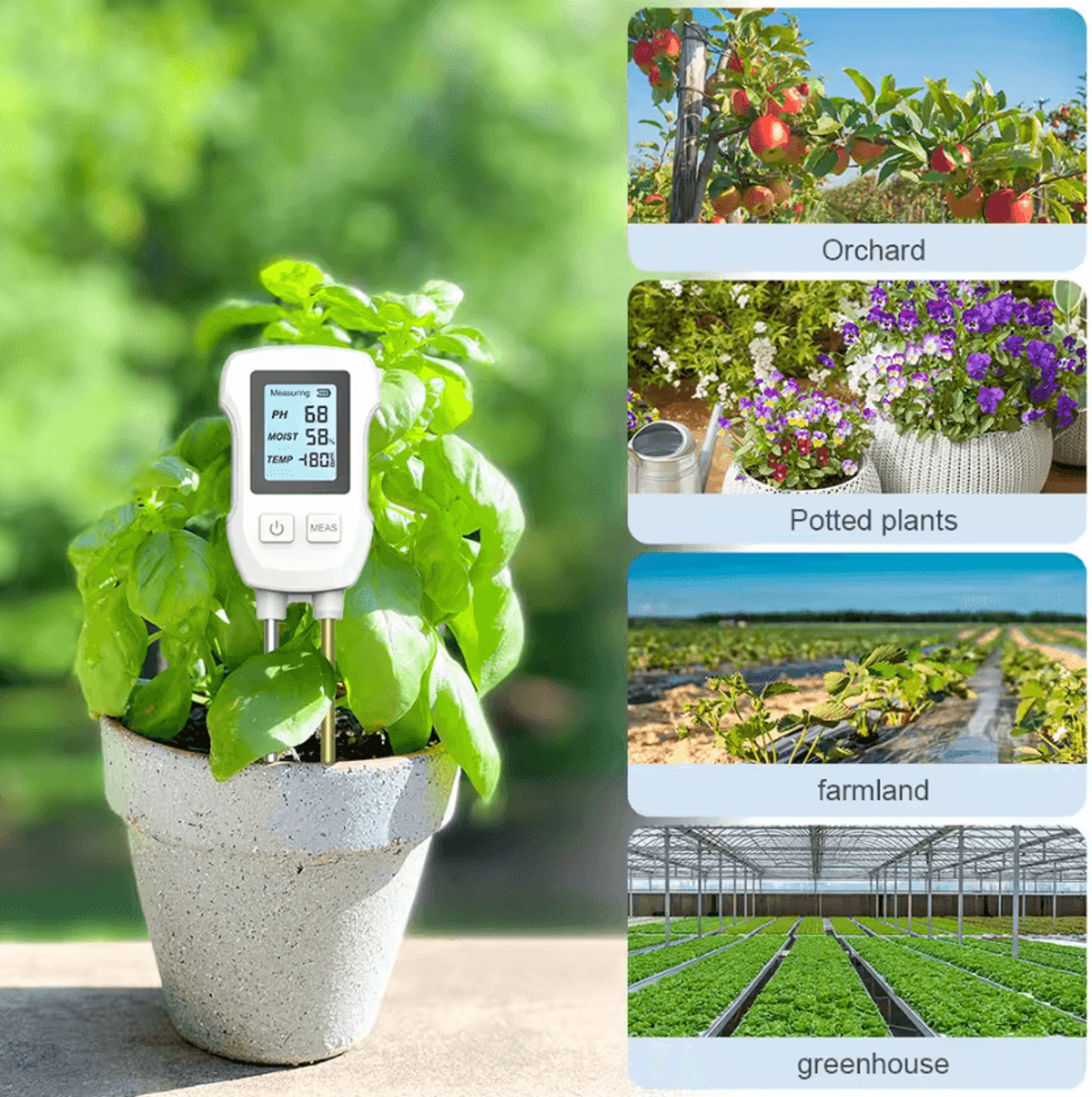 3 In 1 Digital Soil PH Moisture And Temperature Meter 3
