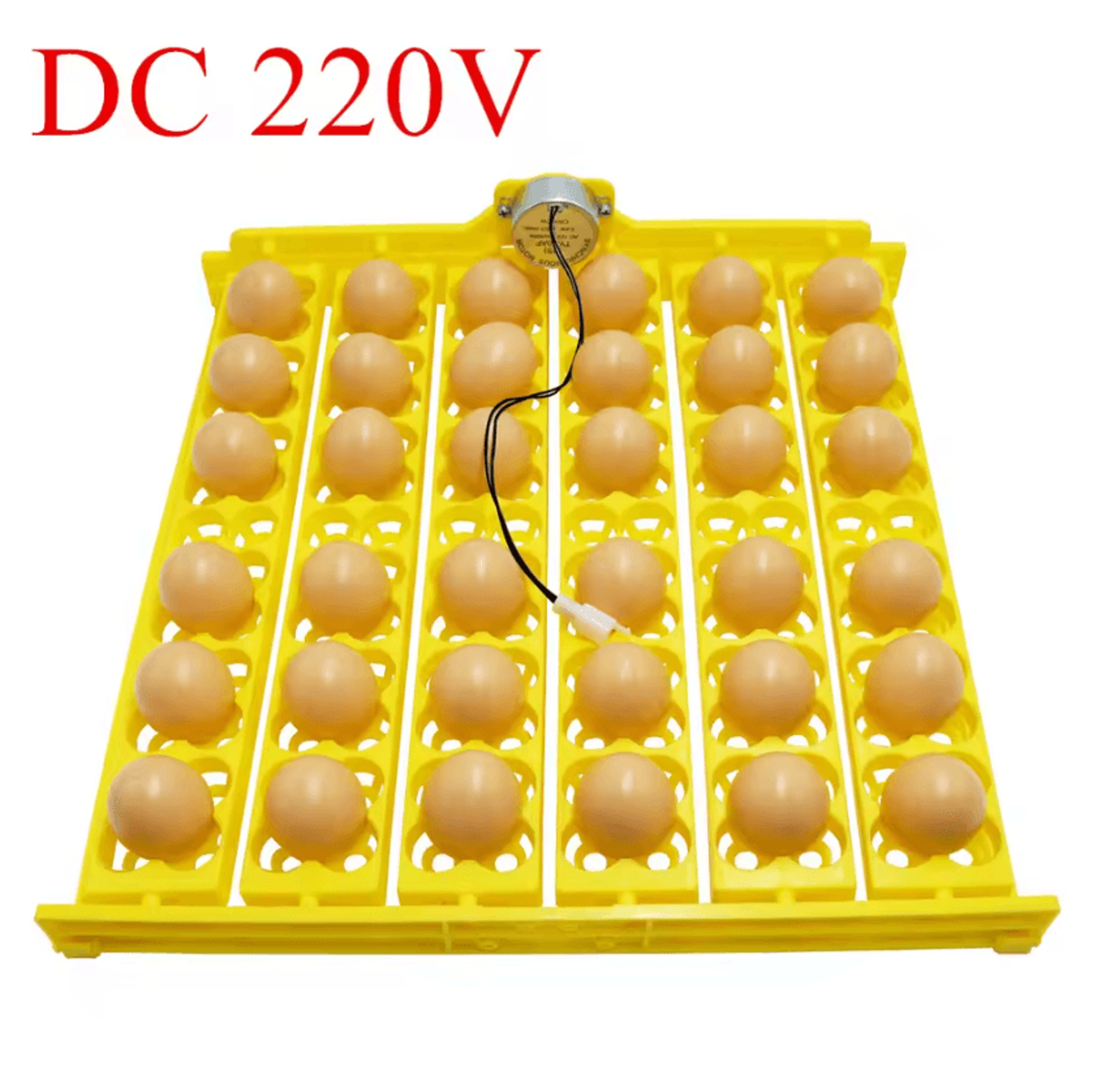 36 Egg Automatic Quail Incubator Turner Tray 5