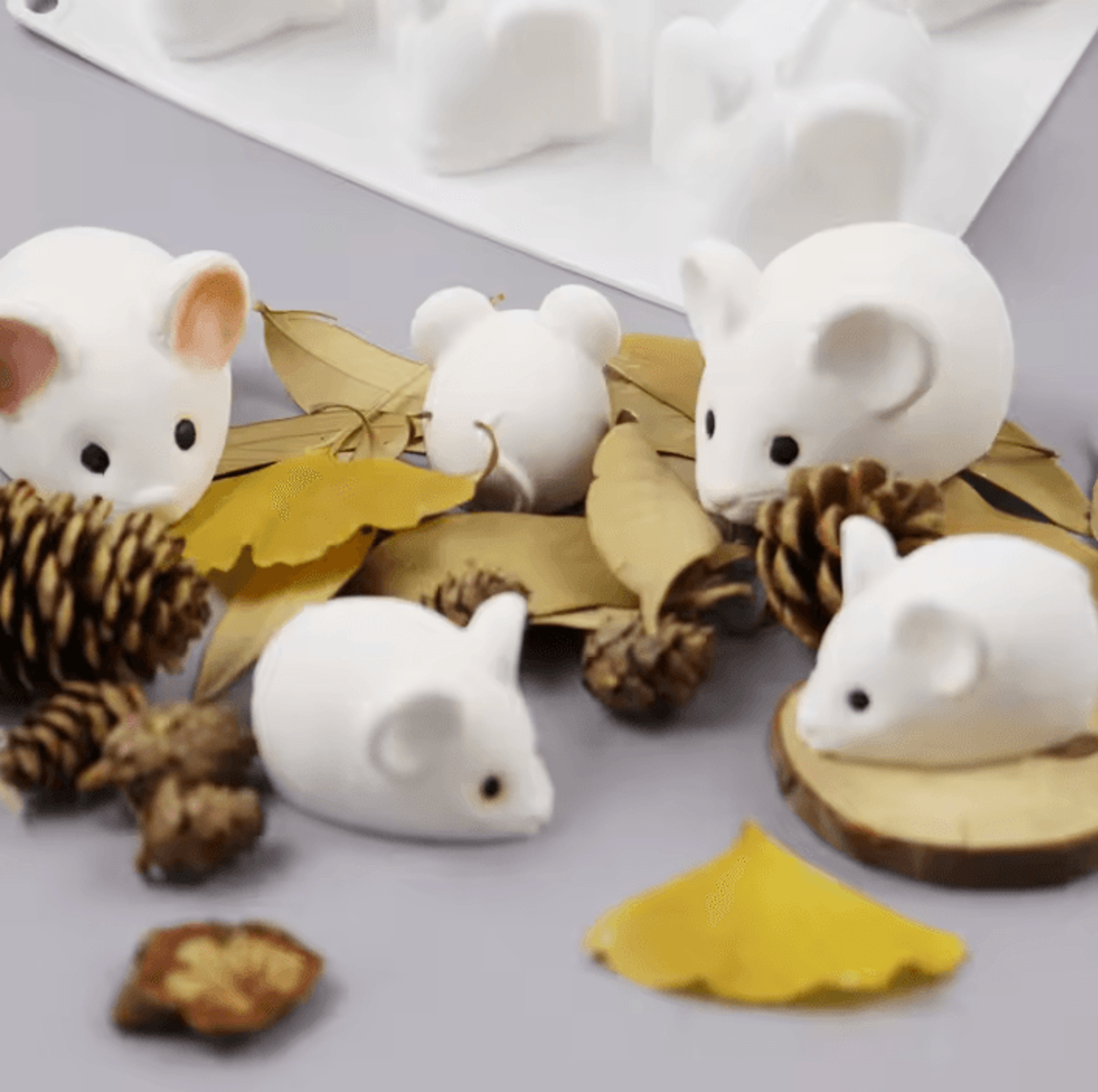 6 Cavity Mouse Silicone Mousse And Chocolate Mold 0