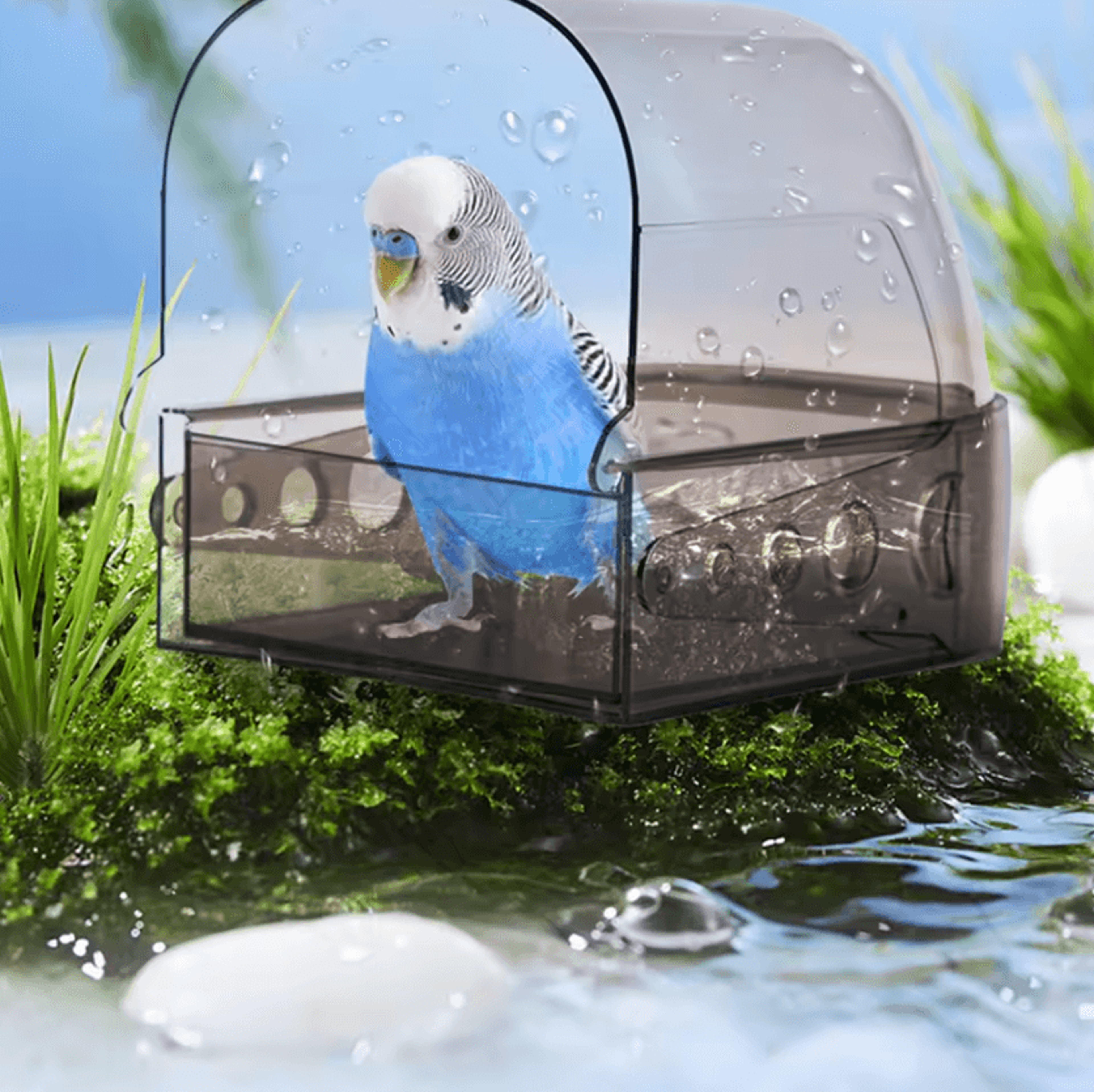 Large Transparent Bird Bath Box With Removable Drawer 1