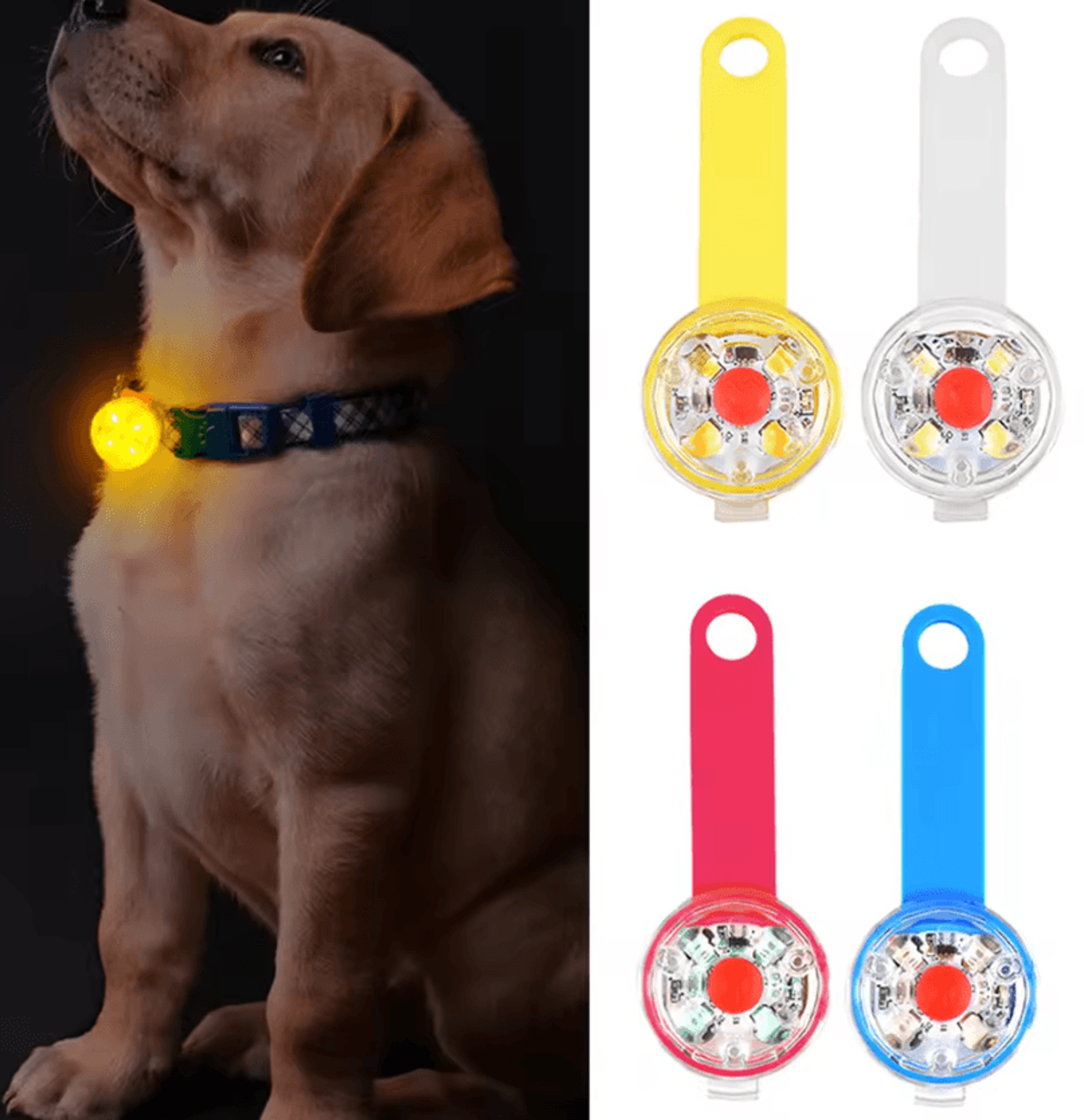 USB Rechargeable LED Pet Collar Safety Light Pendant 1