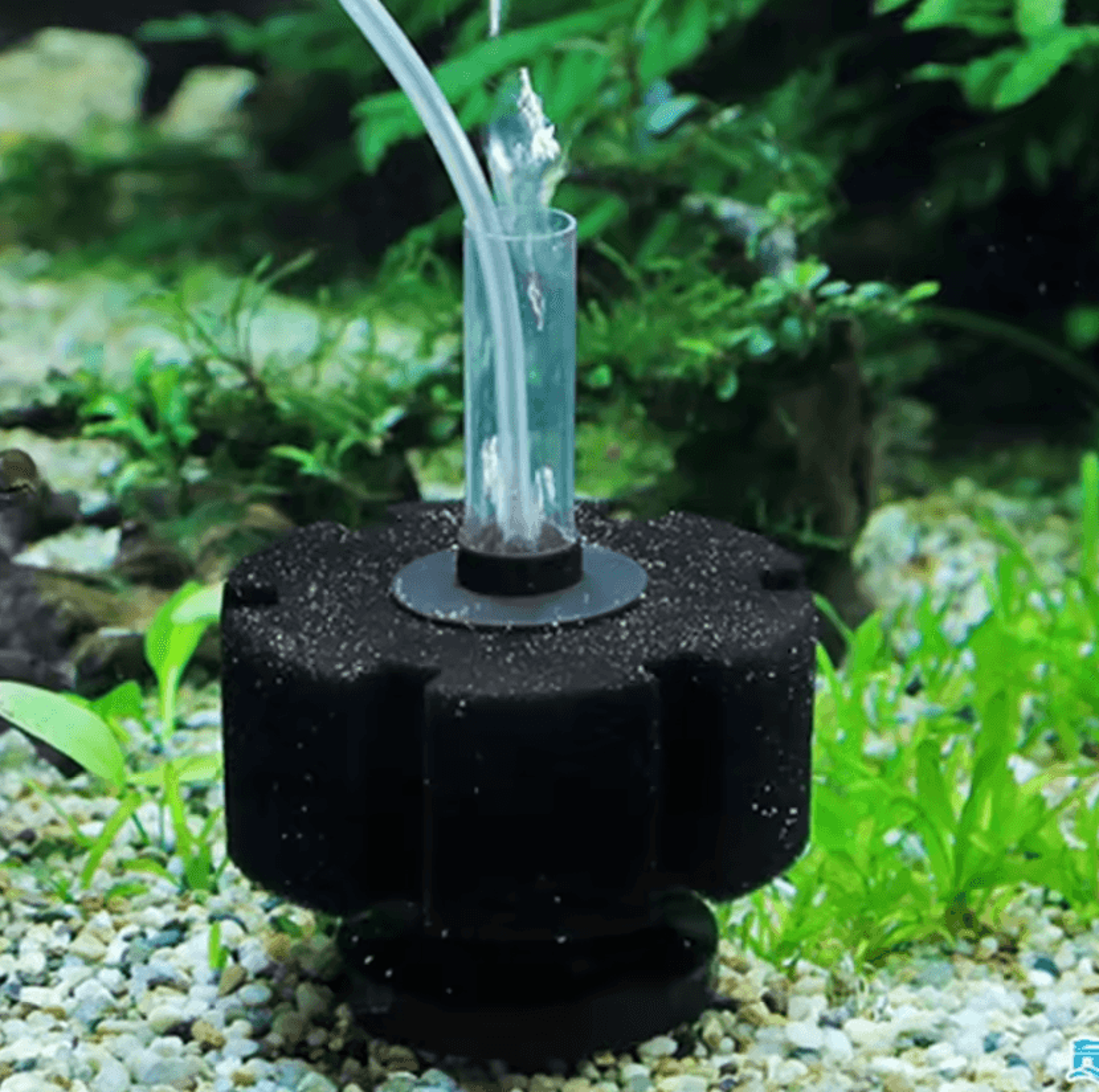 Biochemical Aquarium Filter Sponge For Fish Tank Air Pump 1