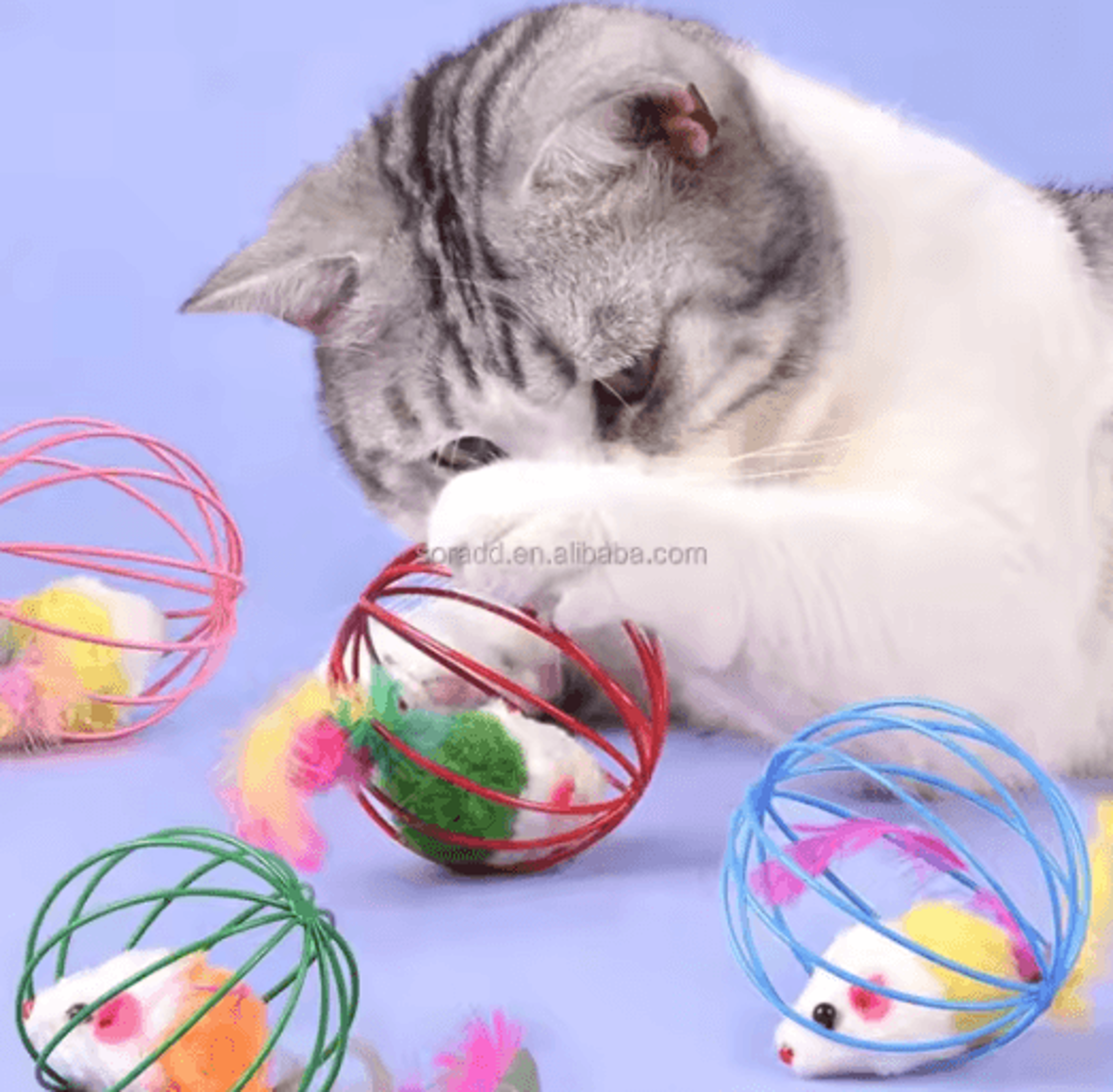 Colorful Mouse In Cage Interactive Chase Cat Toy 4