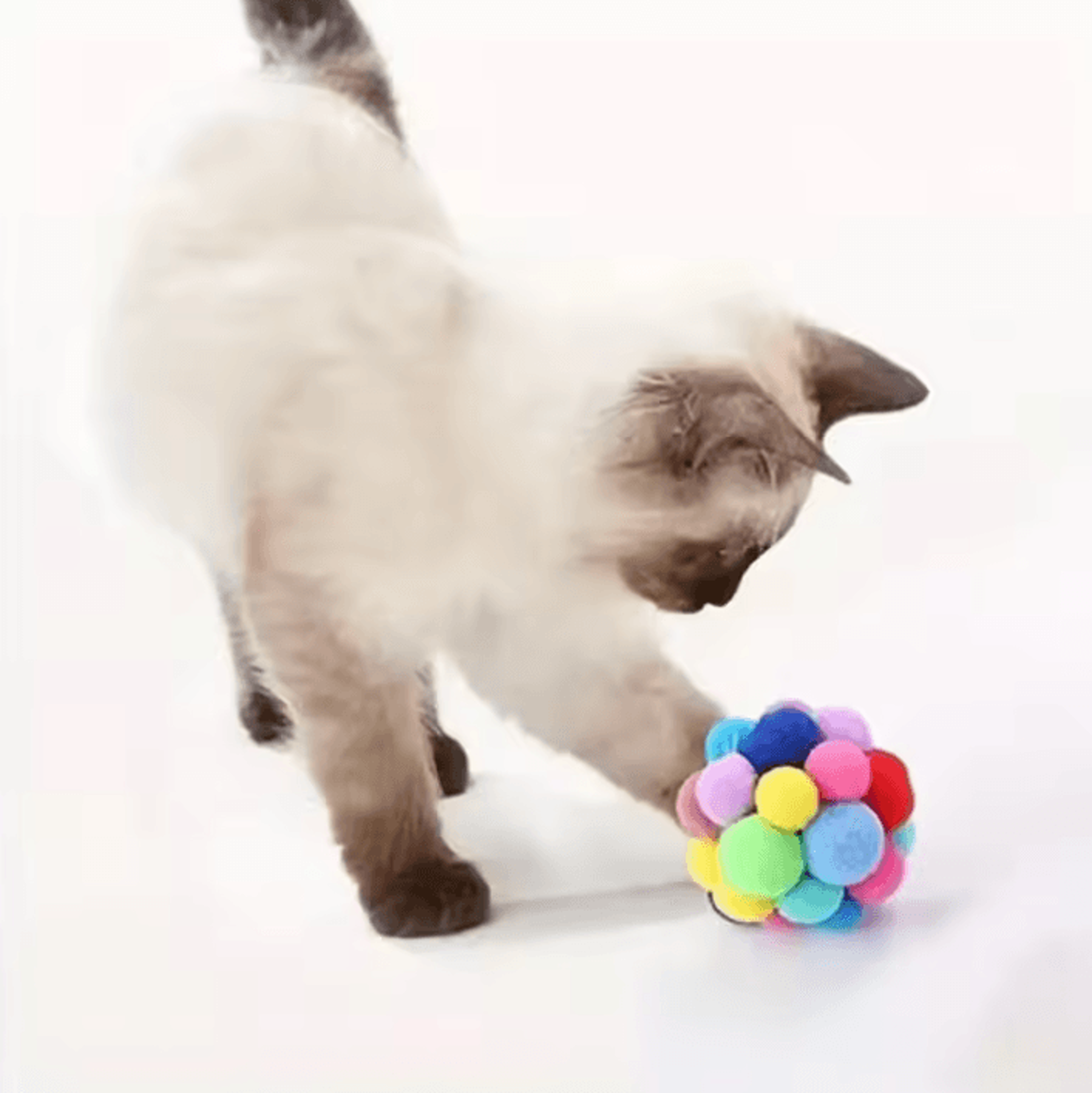 Colorful Plush Bell Ball Cat Toy For Interactive Indoor Play 3