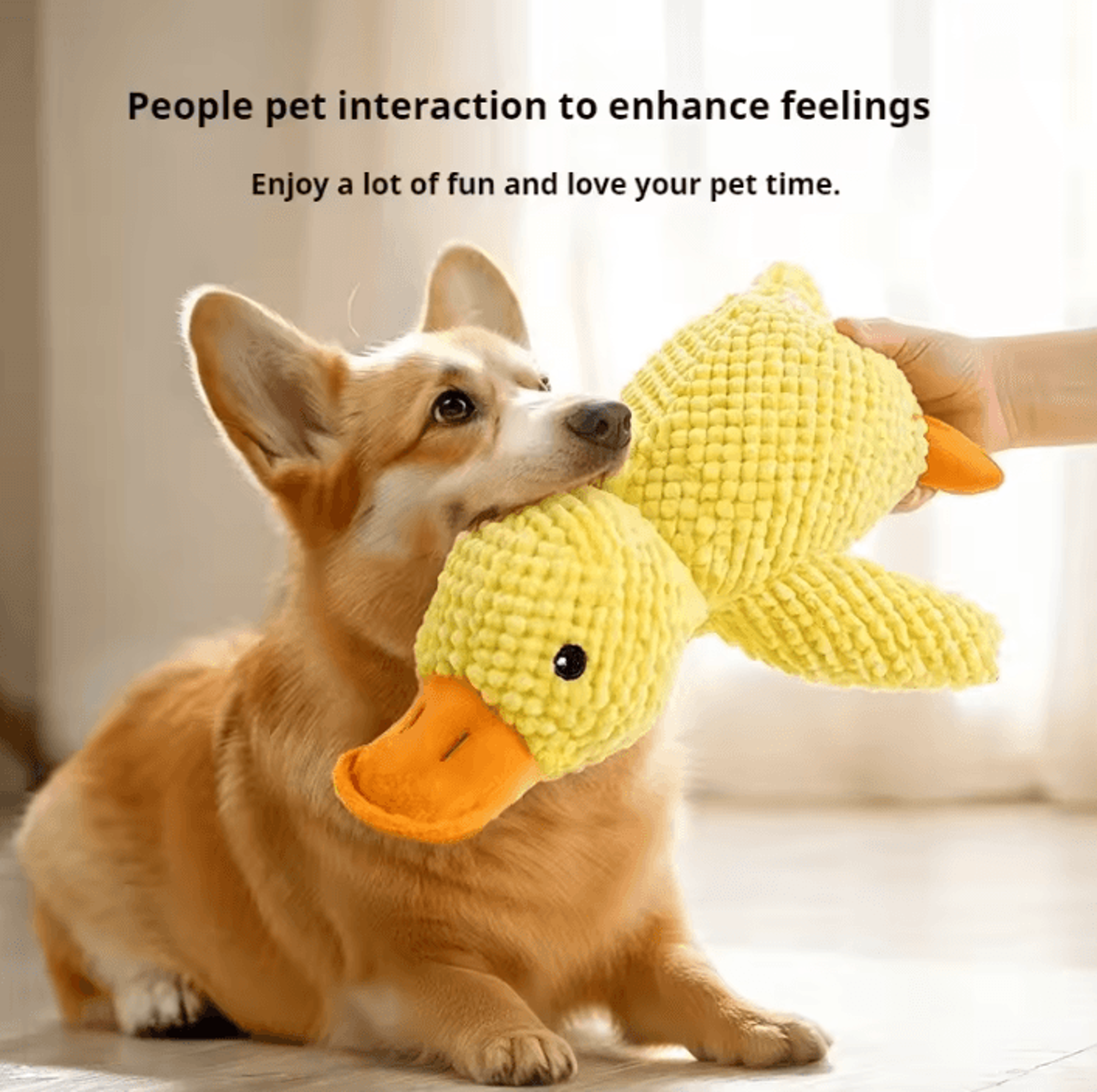 QuackBuddy Plush Squeaky Duck Dog Toy 2