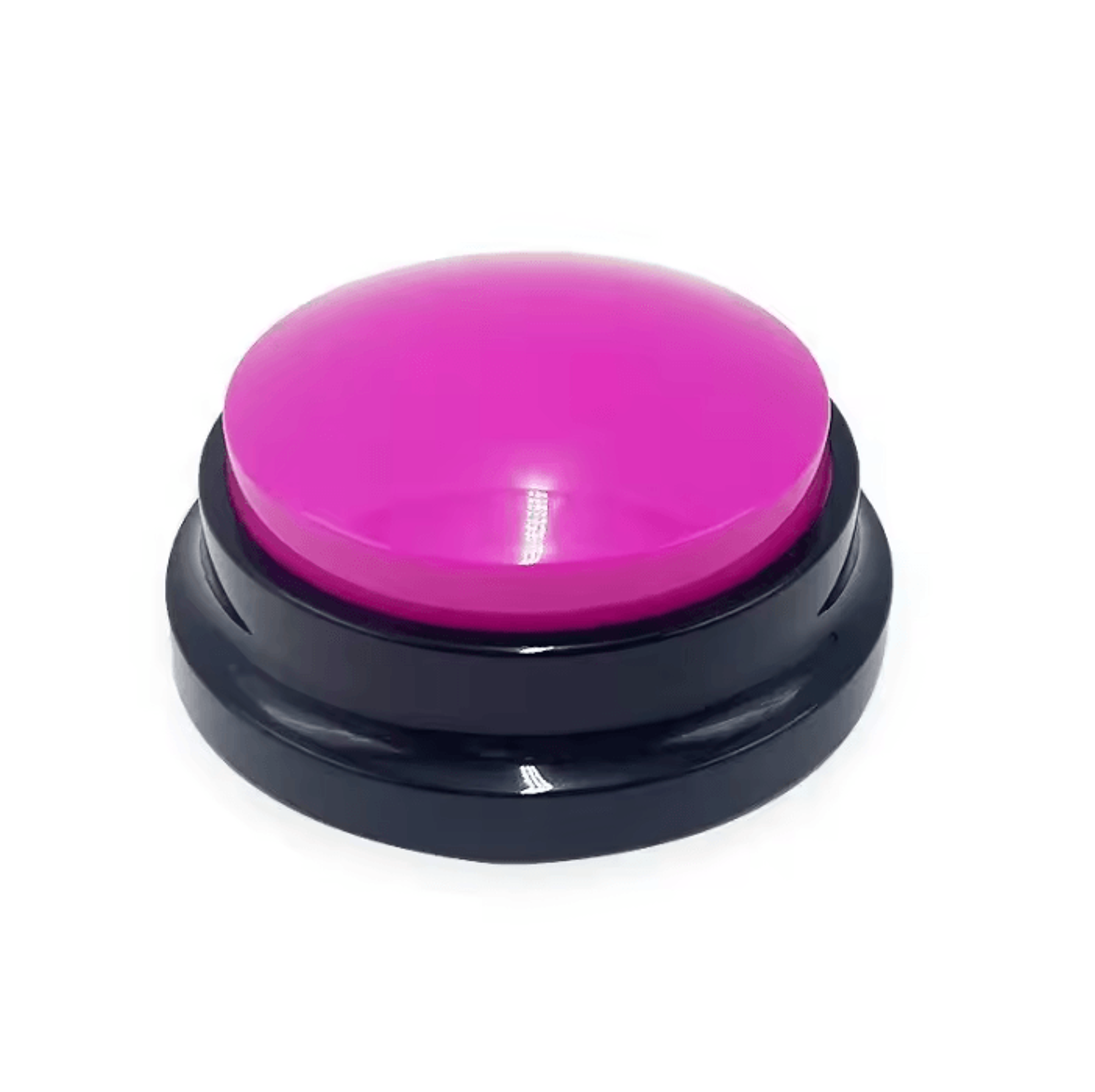 PawTalk Recordable Pet Communication Button 11
