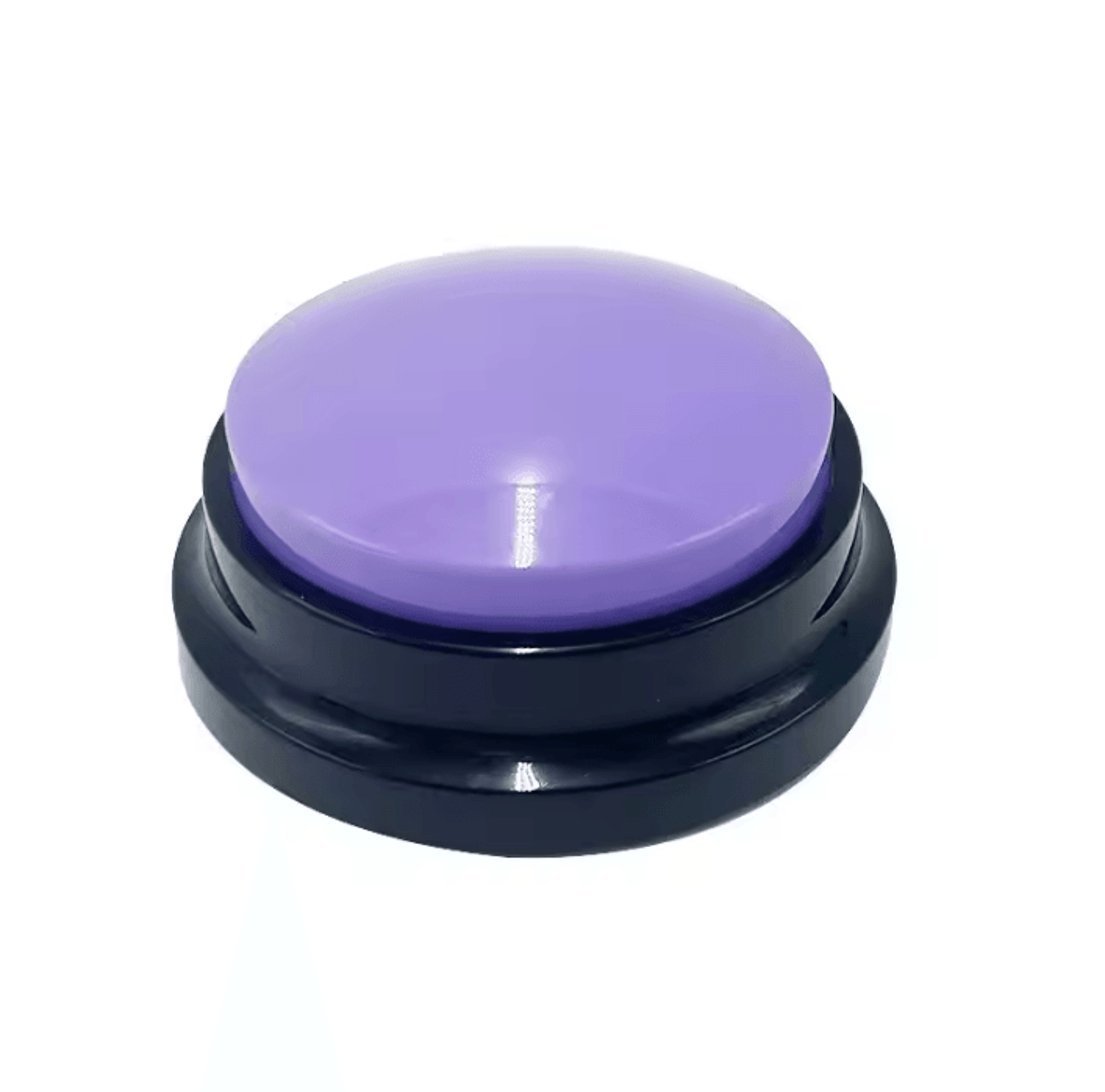 PawTalk Recordable Pet Communication Button 10