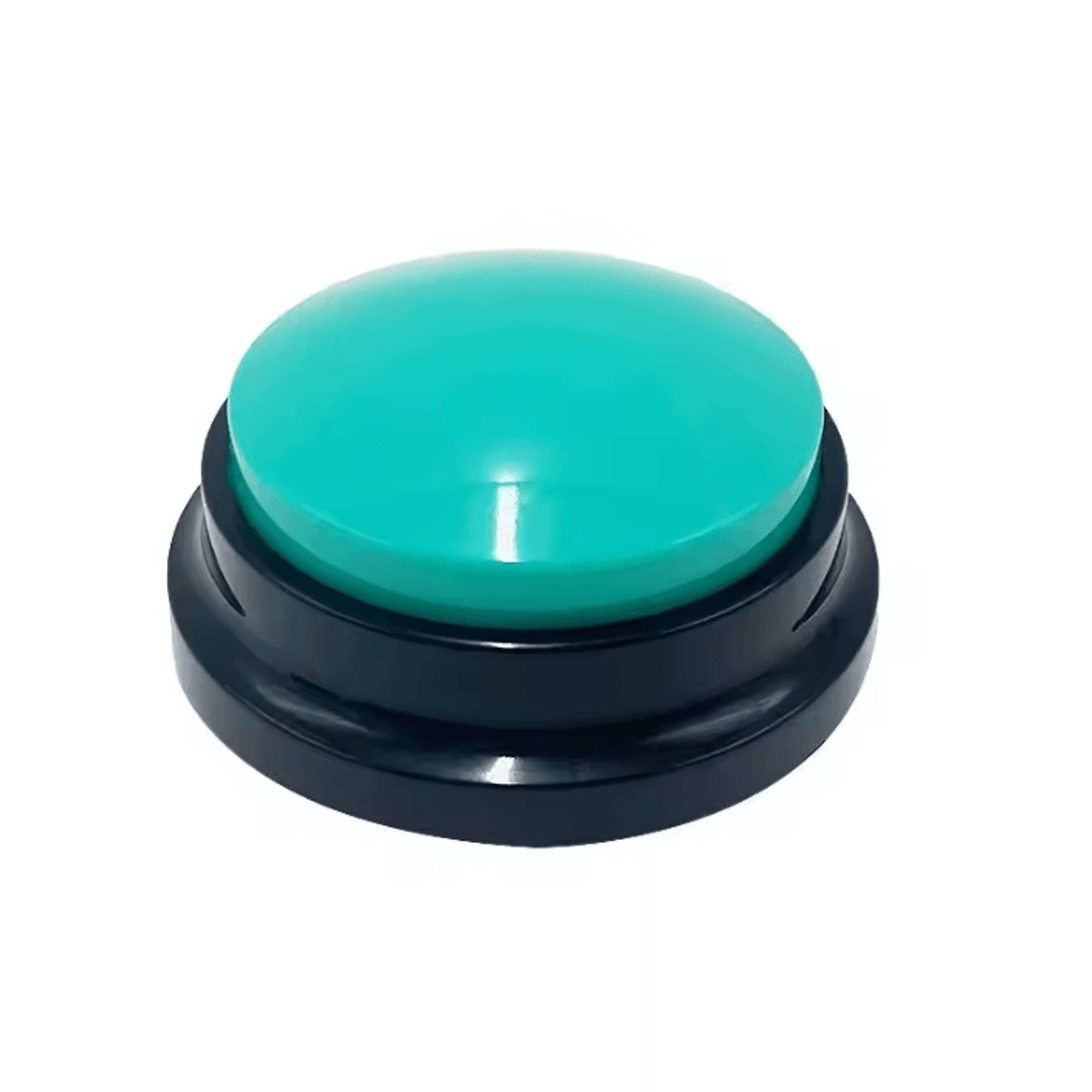 PawTalk Recordable Pet Communication Button 12