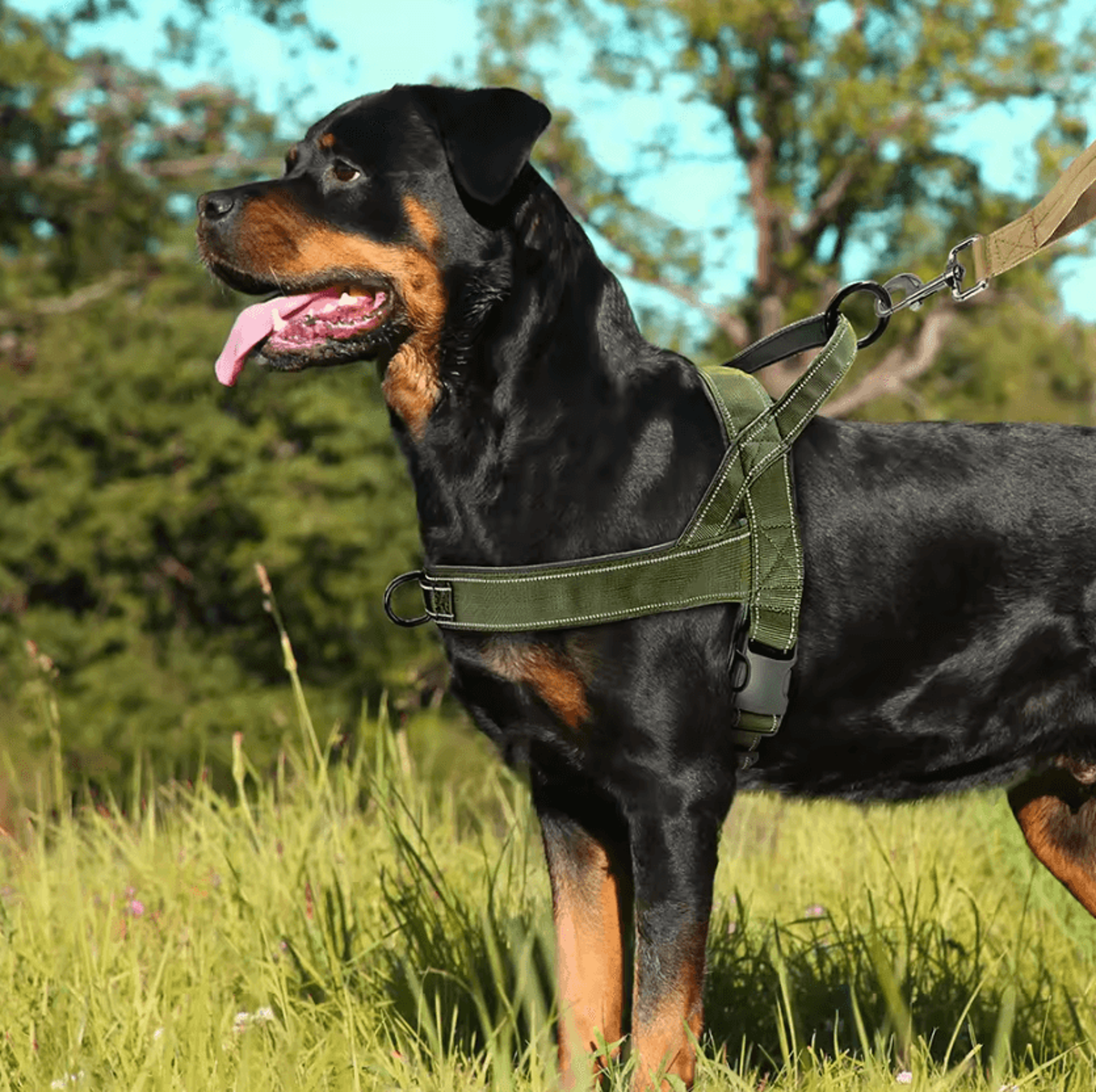 PawGuard Reflective NoPull Dog Harness For Medium And Large Dogs 2