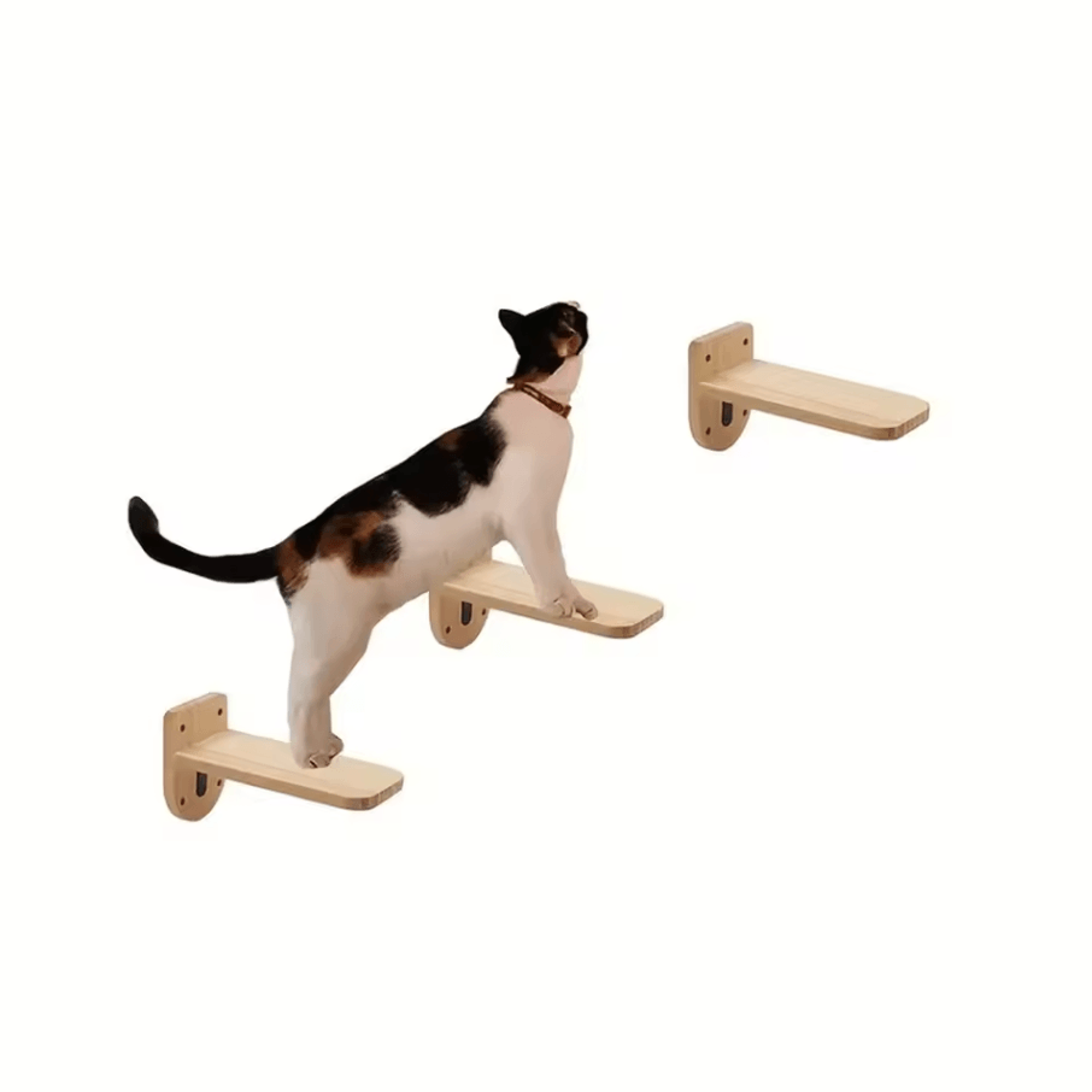 Wall Mounted Cat Climbing Frame With Ladder Hammock And Sisal Scratching Post For Indoor Cats 11