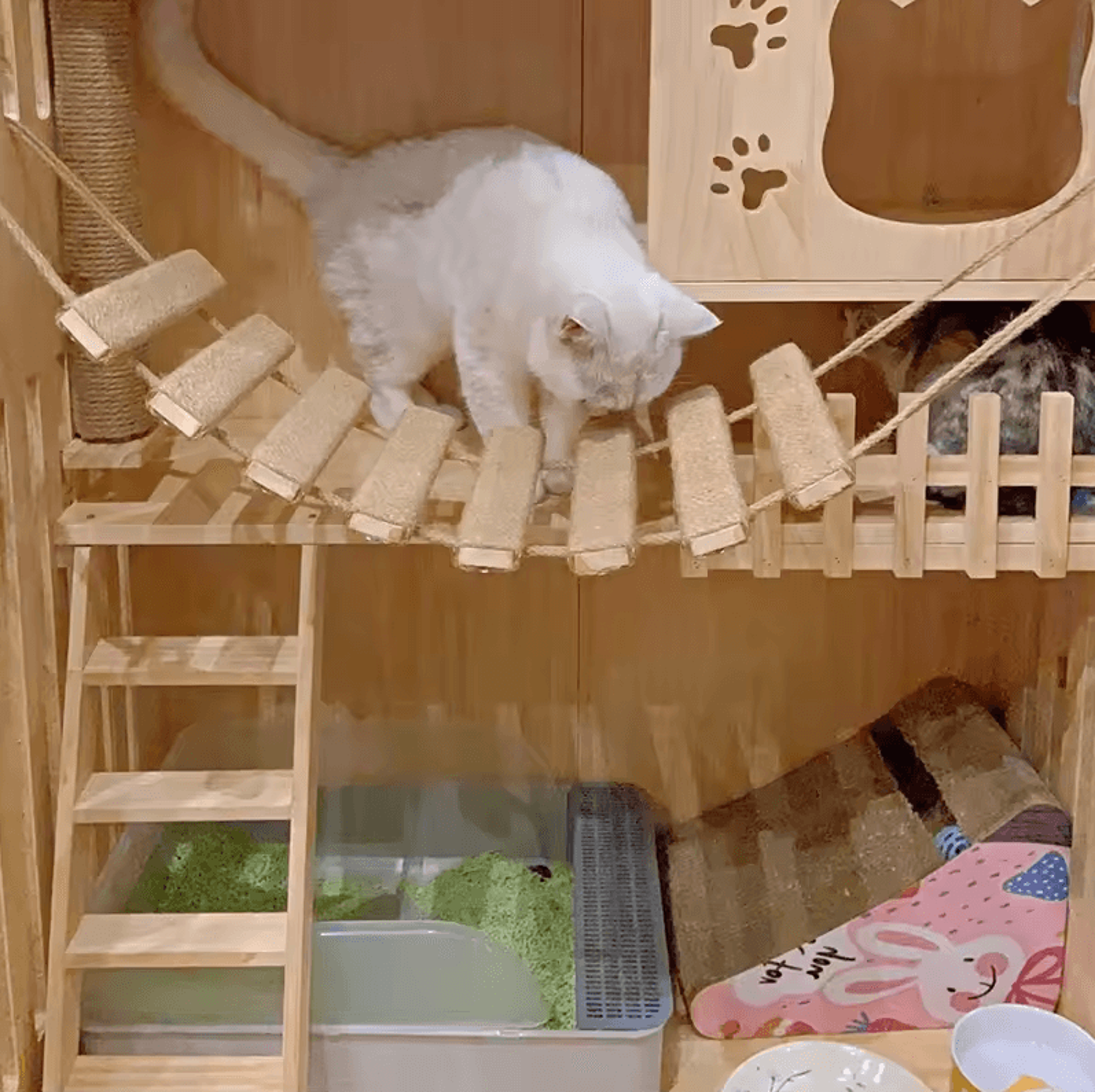Wall Mounted Cat Bridge And Climbing Ladder With Sisal Scratcher For Indoor Cats 0