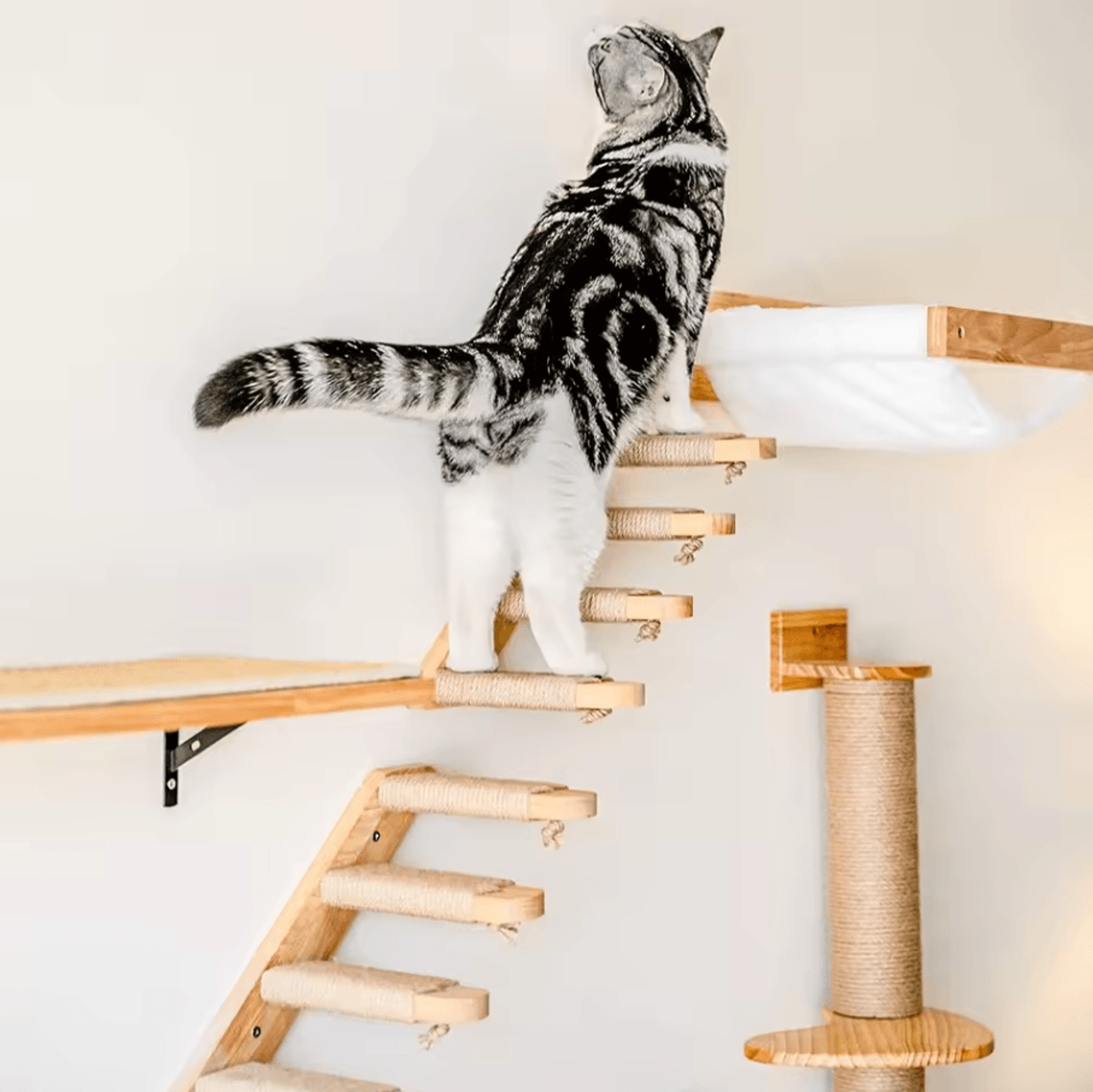 Wall Mounted Cat Hammock Bed With Wooden Shelf And Scratching Post For Indoor Cats 0