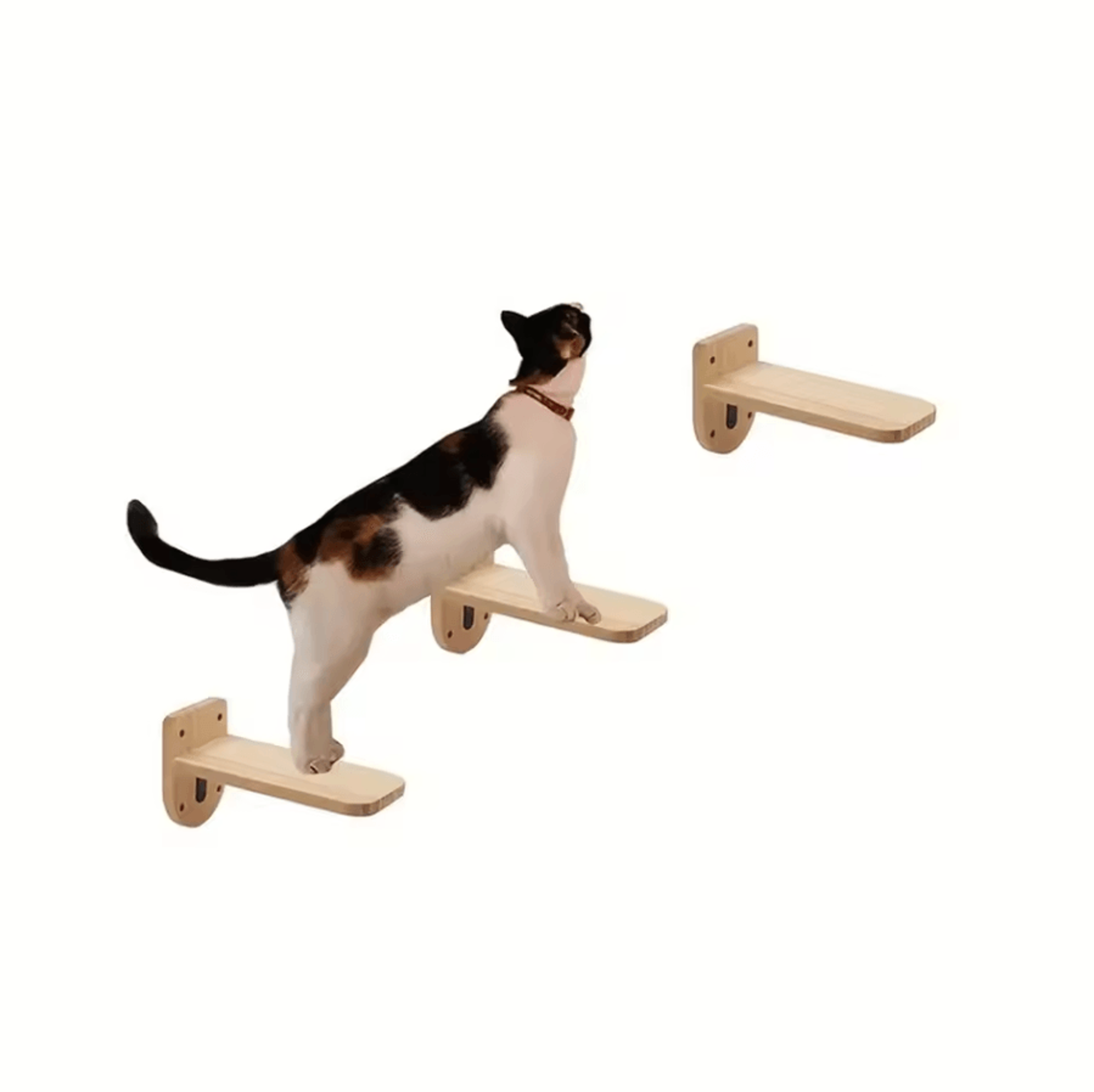 Wall Mounted Cat Shelves With Hammock Sisal Scratching Post And Climbing Ladder 12