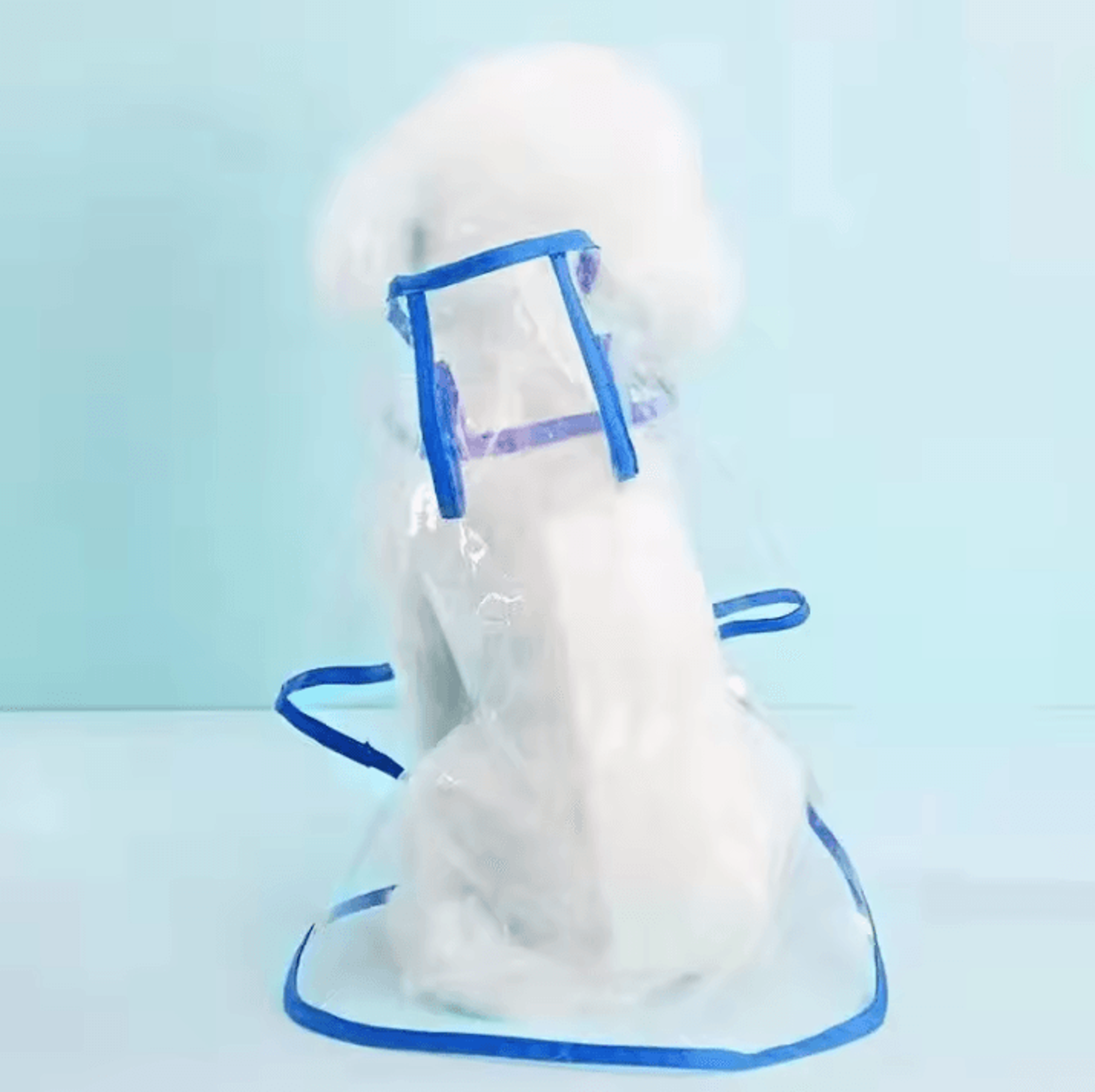 Transparent Hooded Dog Raincoat  Waterproof Pet Rainwear Jacket For Small Dogs  Puppies 6
