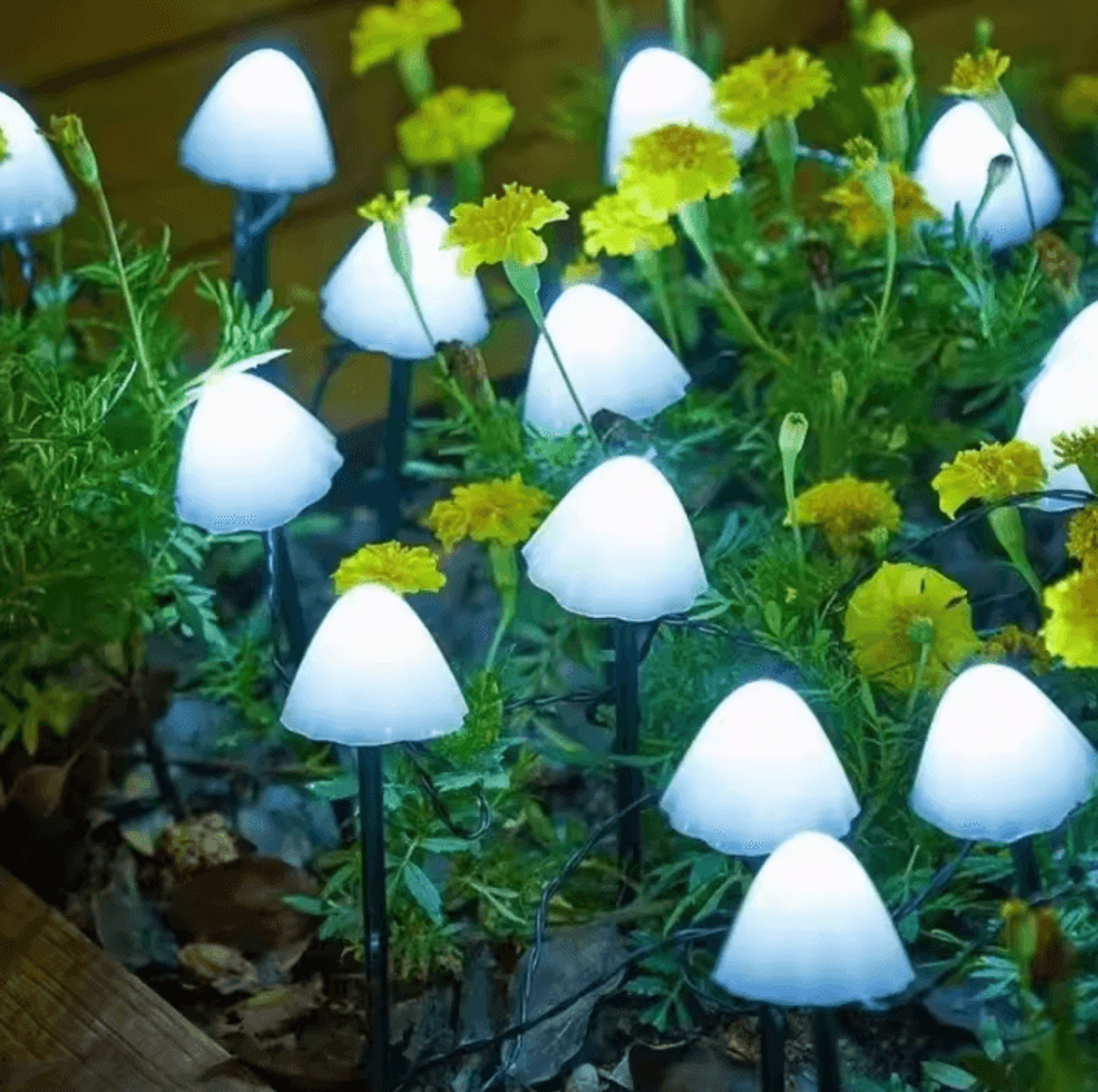 10 LED Solar Mushroom Lights 5 Watts Waterproof Outdoor Decorative Street  Garden Lights 35m 5