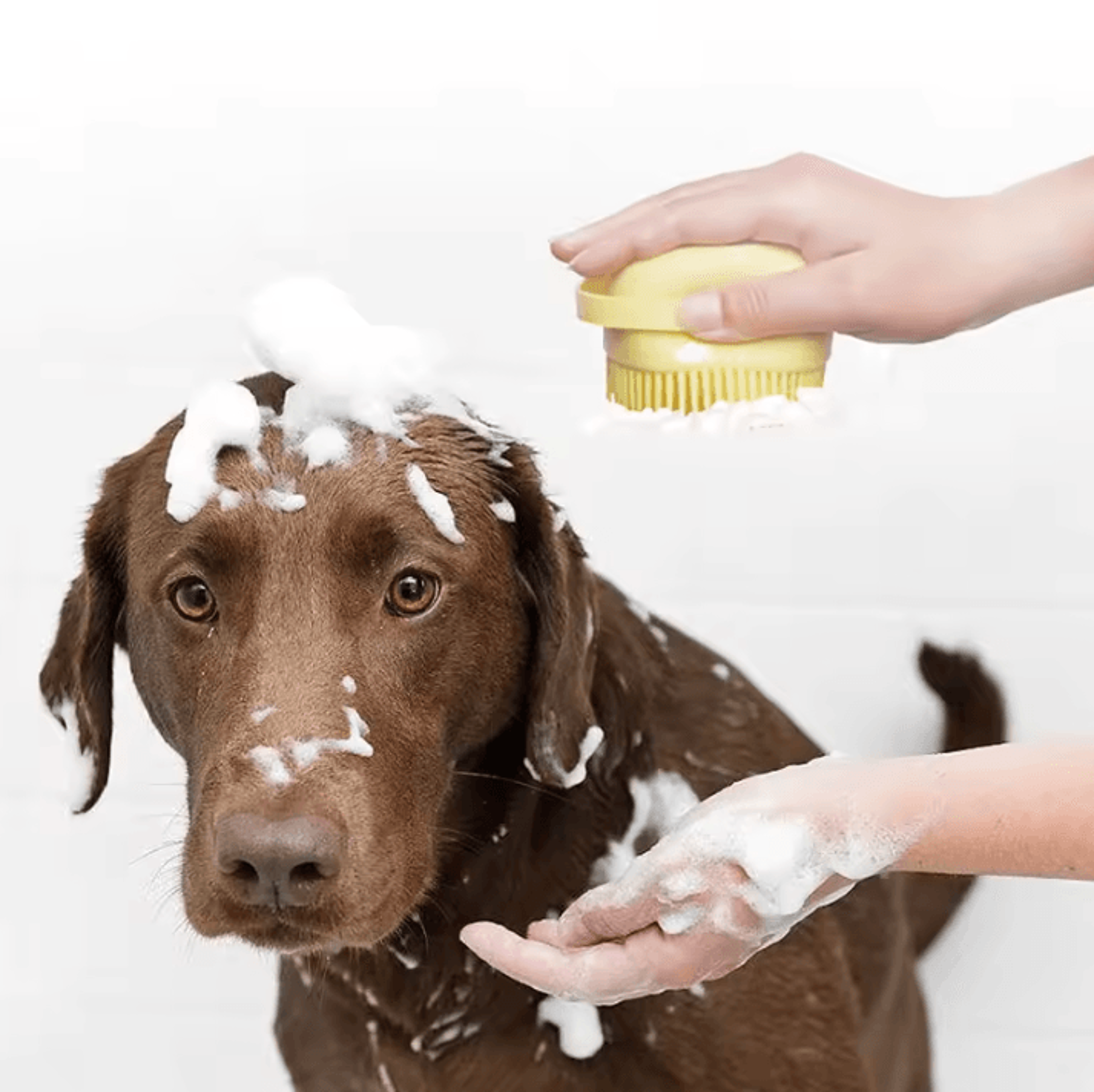 Silicone Pet Bathing  Massage Gloves  Soft Safety Grooming Brush For Dogs  Cats 1