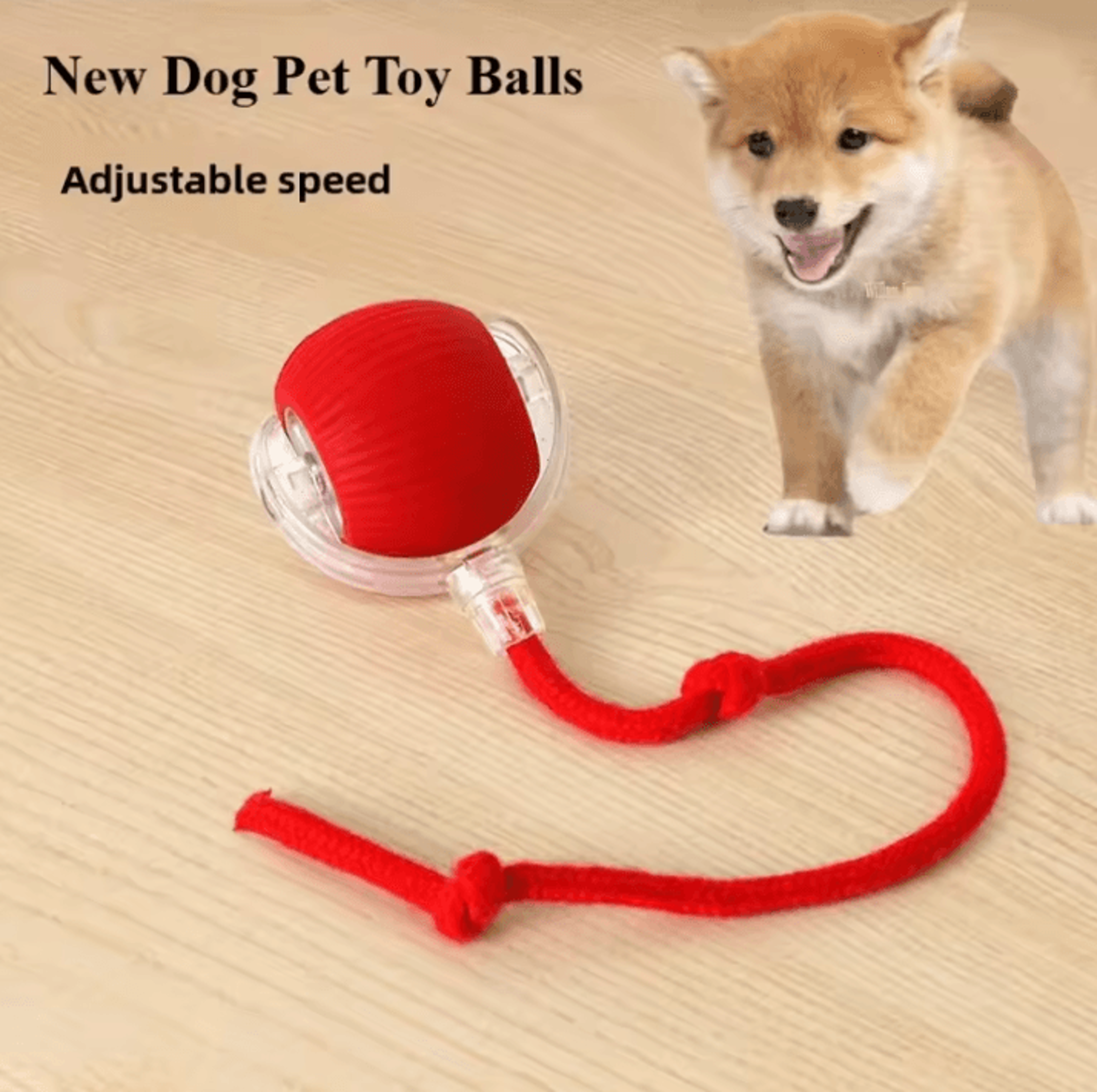Rechargeable Interactive Pet Ball Toy  Automatic Rolling Cat Ball  Rechargeable Electric Dog Toy Wi 1