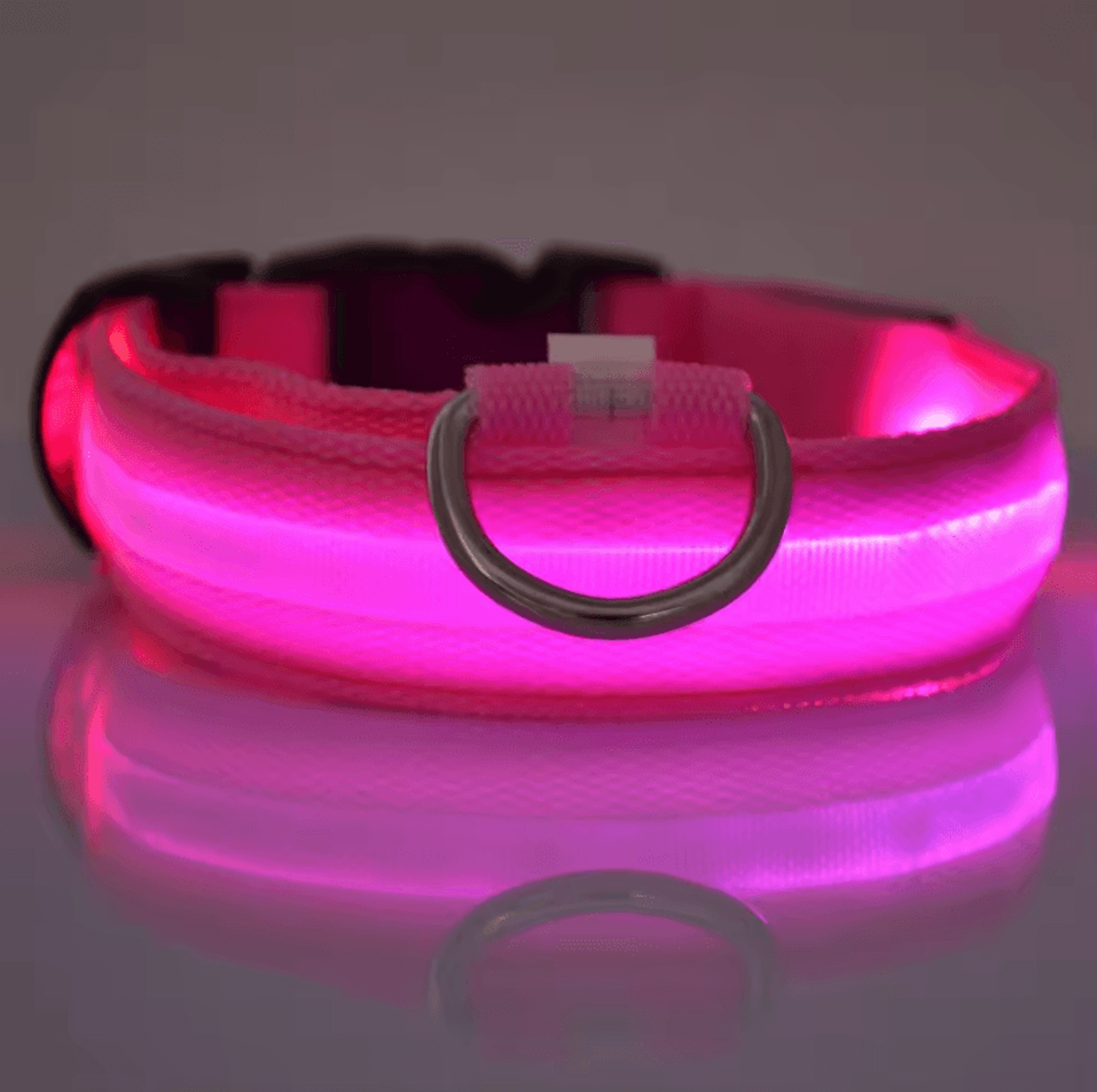 Nylon Luminous Dog Leash And Glow In The Dark Dog Collar  LED Safety Pet Leash For Night Walking 2