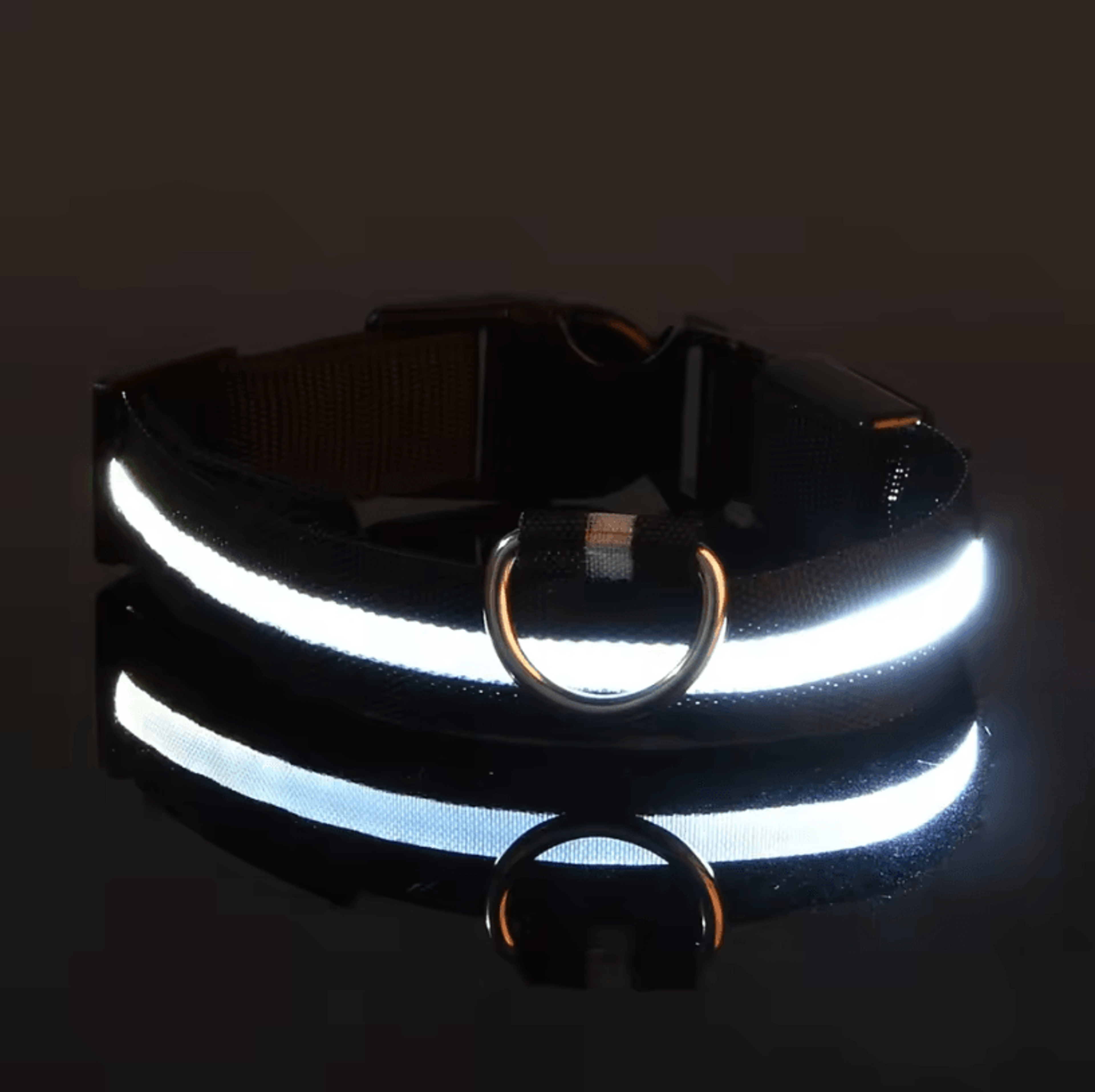 Nylon Luminous Dog Leash And Glow In The Dark Dog Collar  LED Safety Pet Leash For Night Walking 6