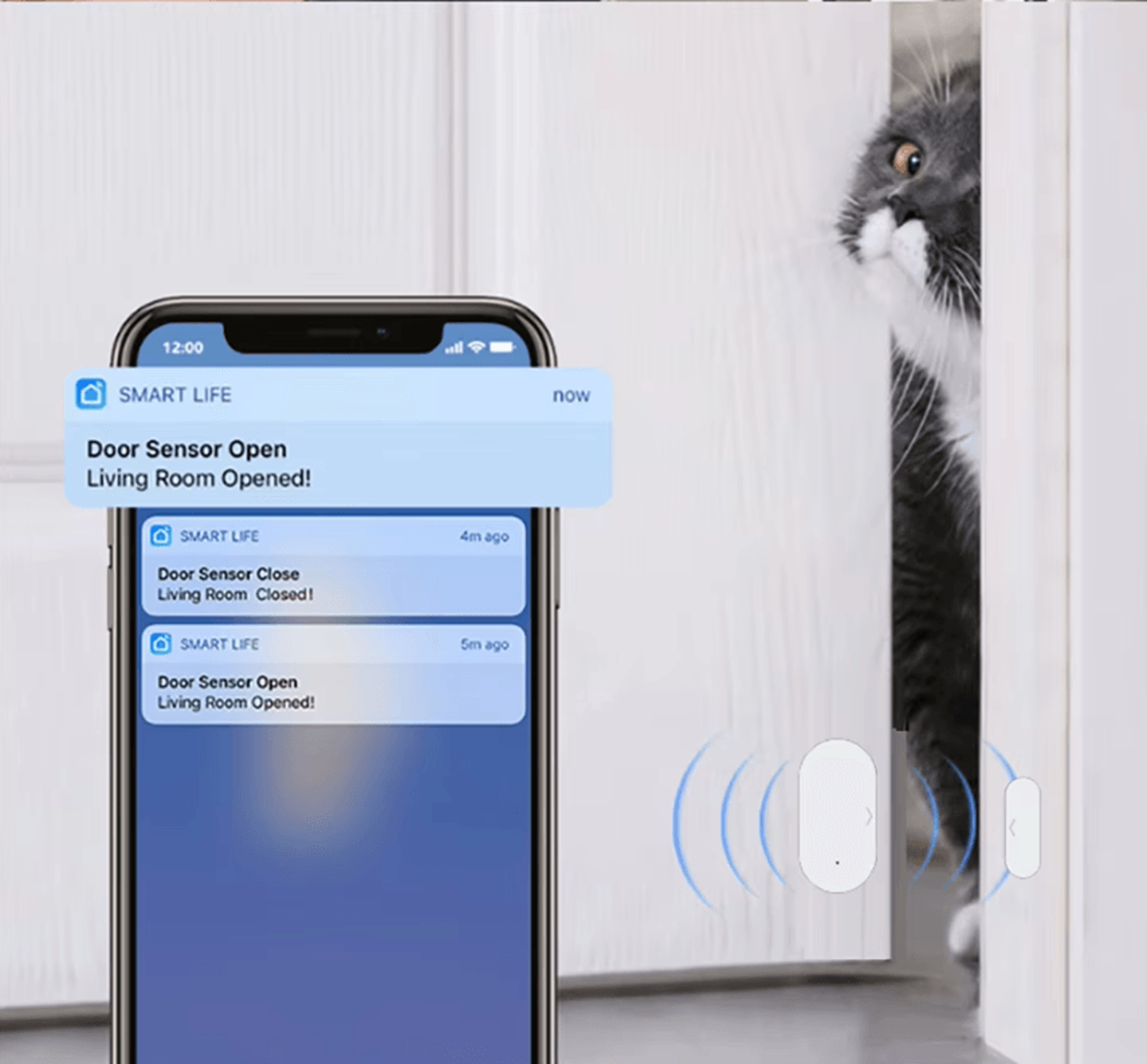 Protect What Matters Most With This Smart Door Contact Sensor Designed To Alert You Instantly When  3