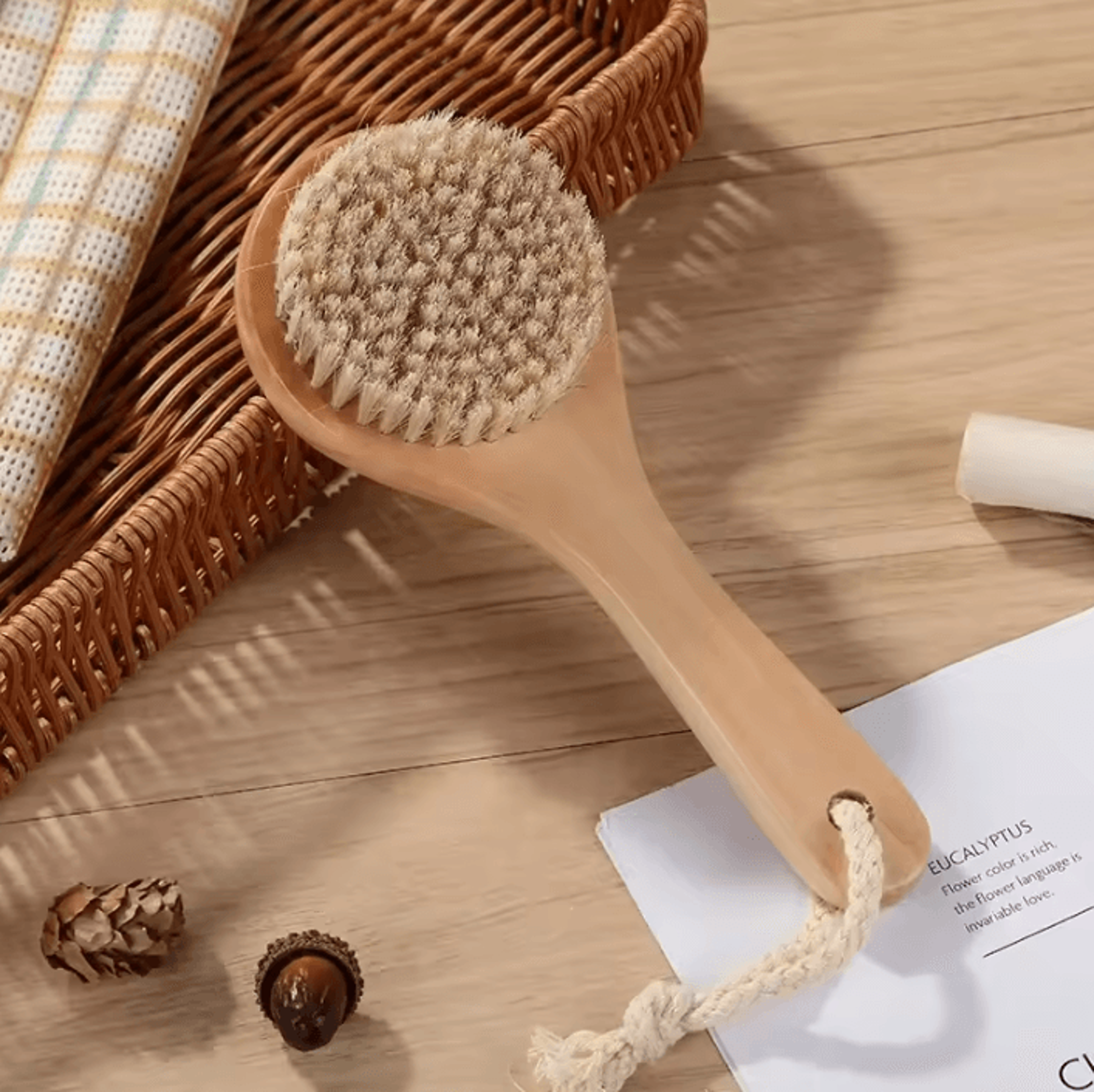 2in1 Natural Bristle Body Massage Brush  Dry Skin Exfoliator And AntiCellulite Circulation Massager 11