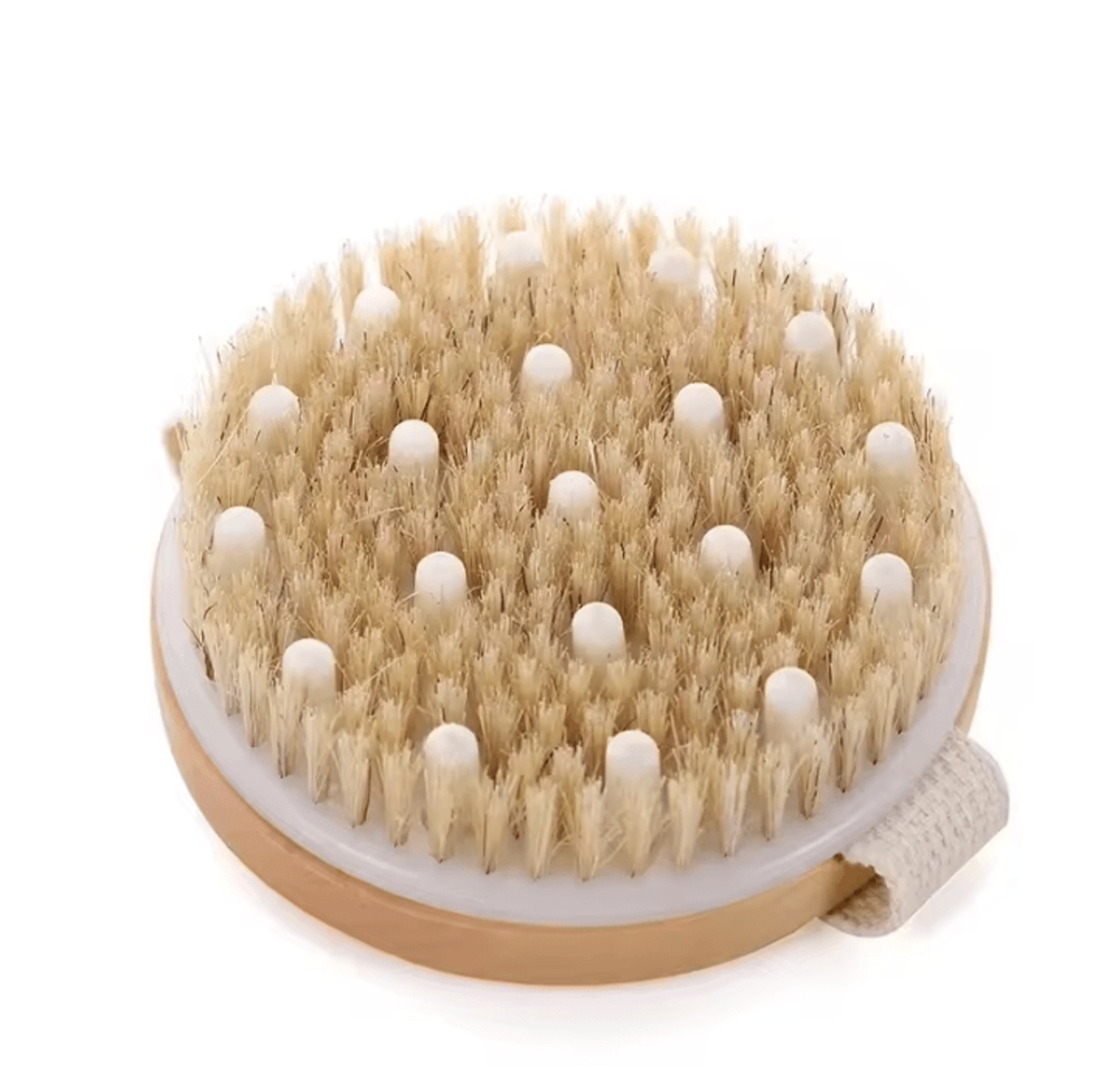 2in1 Natural Bristle Body Massage Brush  Dry Skin Exfoliator And AntiCellulite Circulation Massager 6