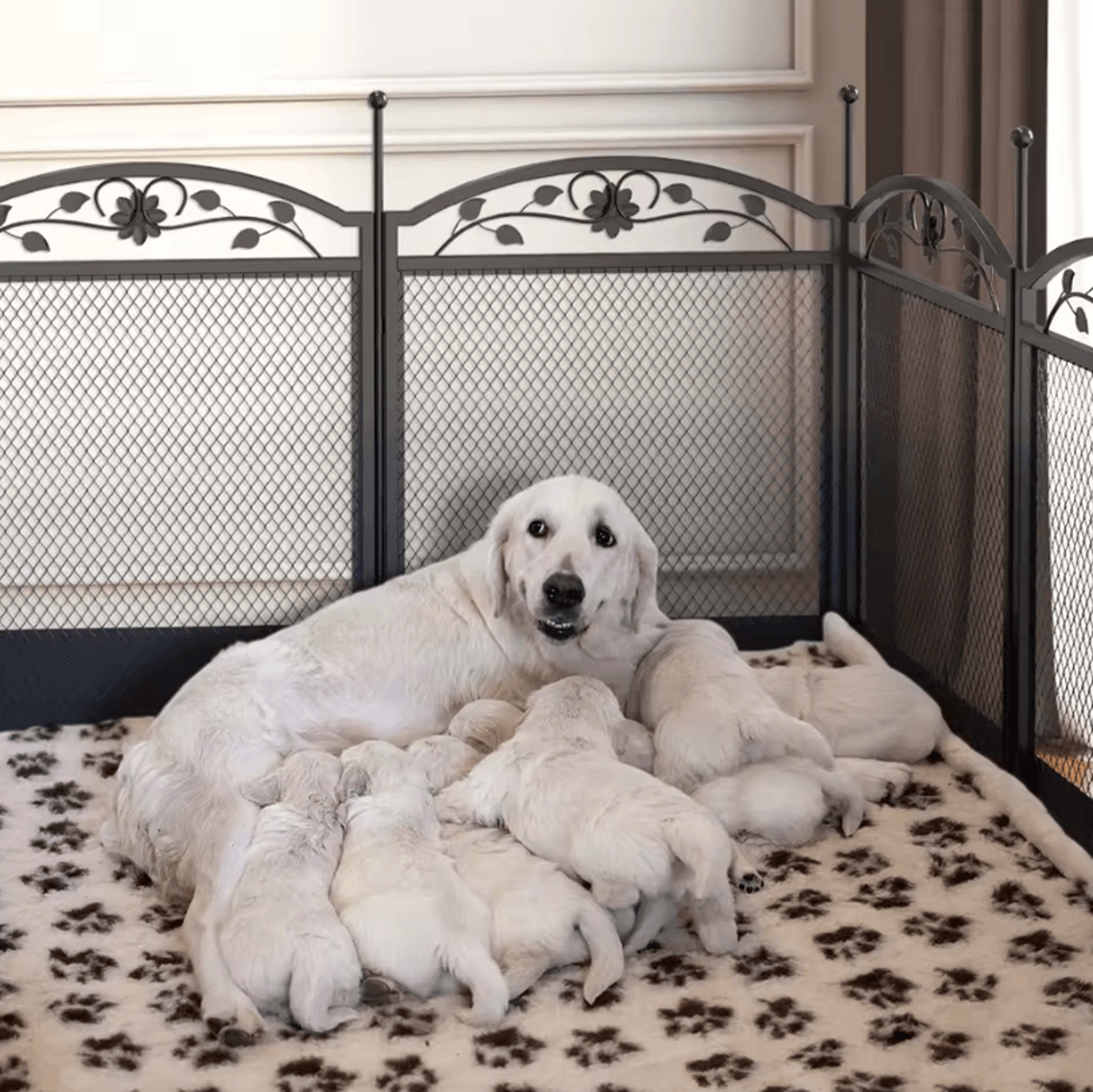 Heavy Duty Dog Playpen  Large Pet Exercise Enclosure With Waterproof Mat For Indoor And Outdoor 4