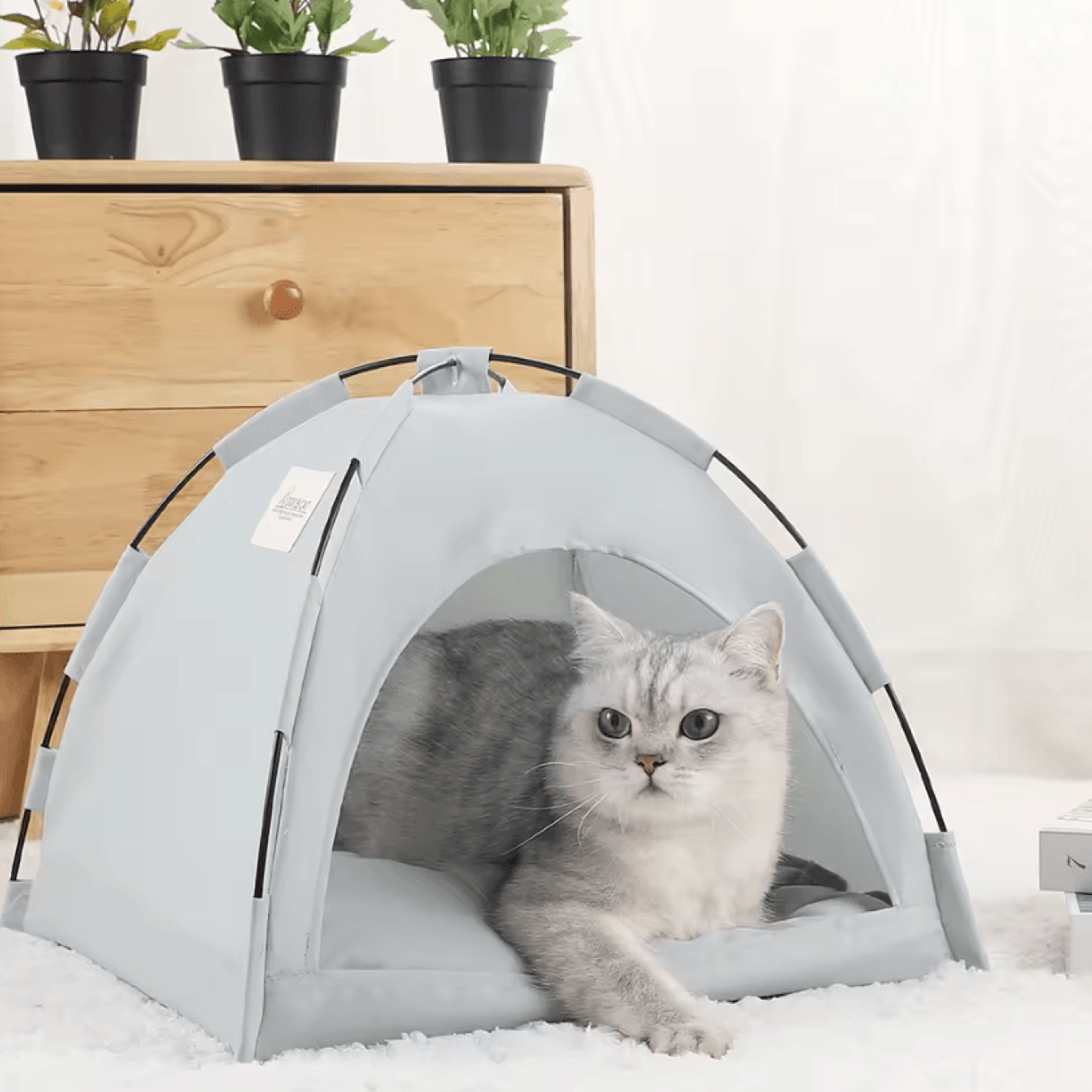 Pet Tent Bed  Cozy Cat House With Cushioned Furniture For Indoor Pets 8