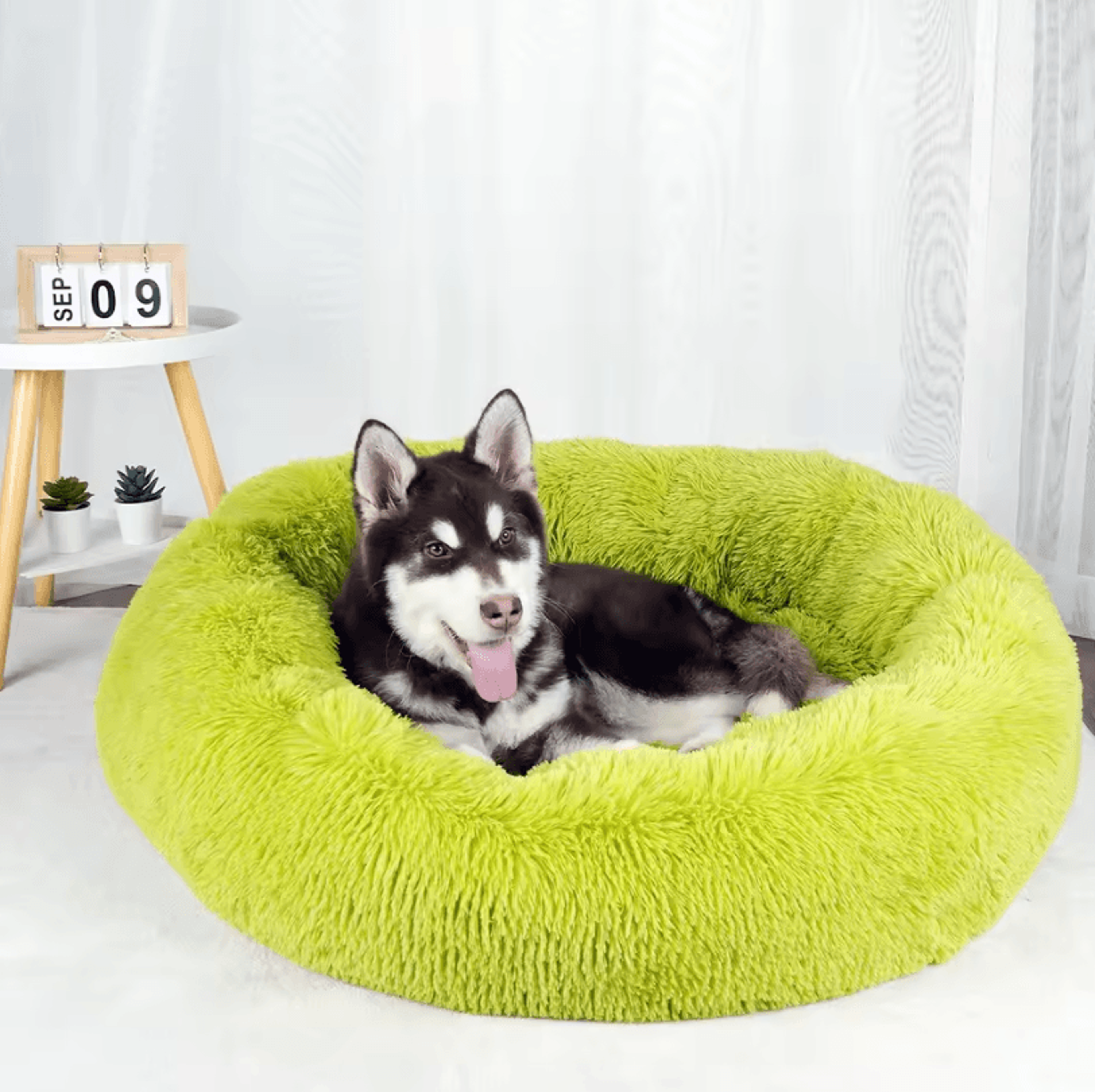 Plush Dog Bed  Washable Fluffy Sofa Basket Bed For Small Medium And Large Dogs 7