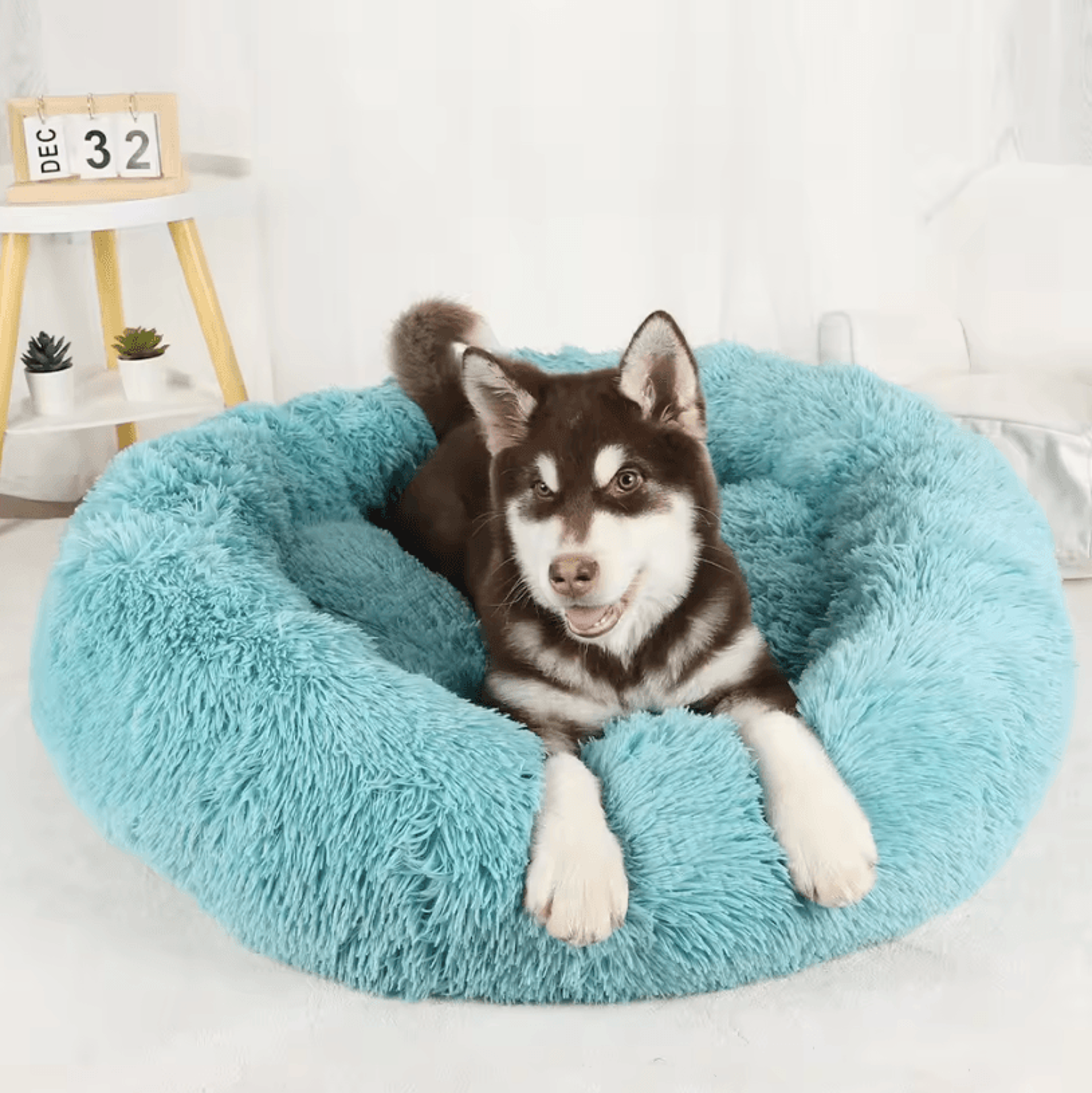 Plush Dog Bed  Washable Fluffy Sofa Basket Bed For Small Medium And Large Dogs 8