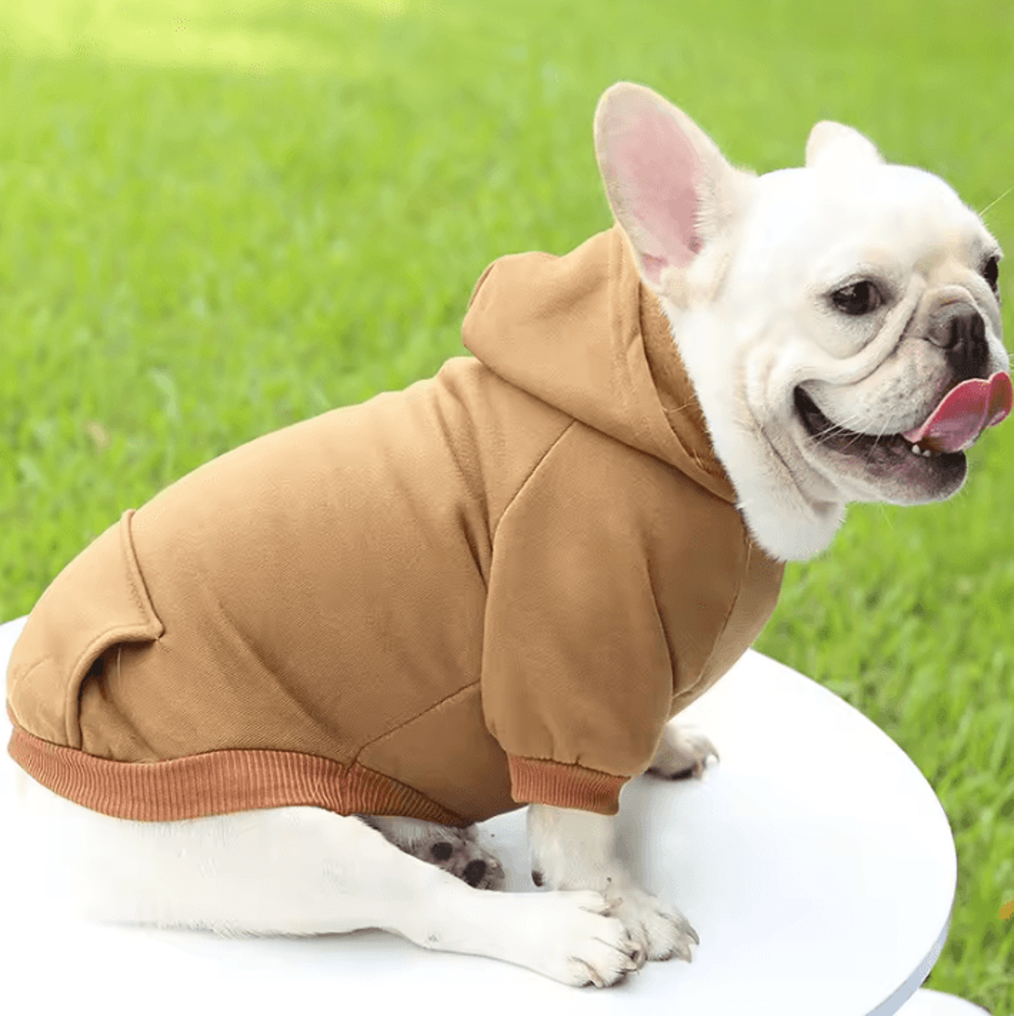 Small Dog Clothes  Warm Pet Dog Outfit For Chihuahua French Bulldog And Puppies 2