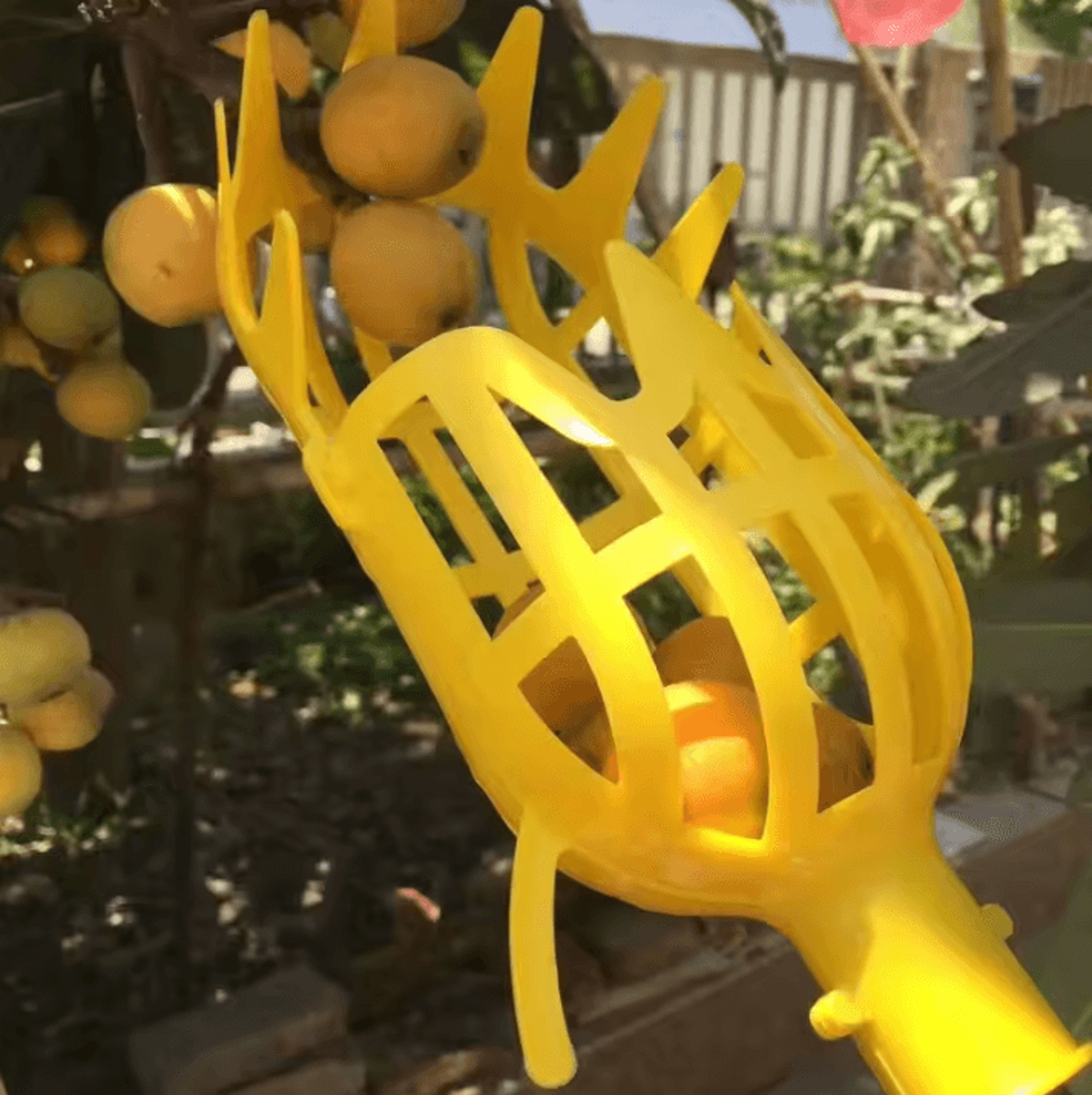 Garden Fruit Picker Tool With Deep Basket  Easy Orchard  Yard Harvesting 2