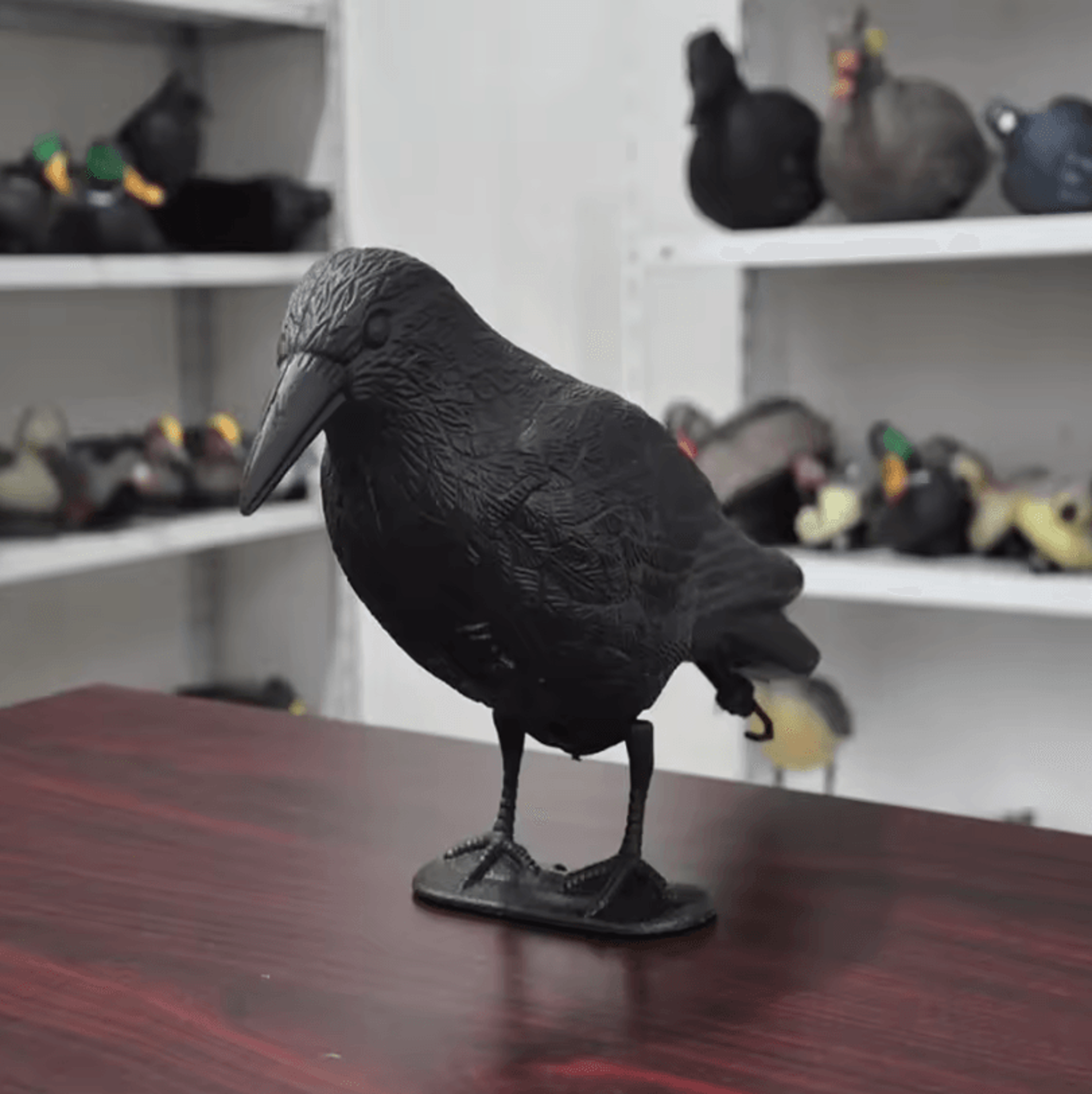 Outdoor Garden Bird Repellent Raven Decoy  Black Simulation Crow Decoration For Pest Control And Pi 0