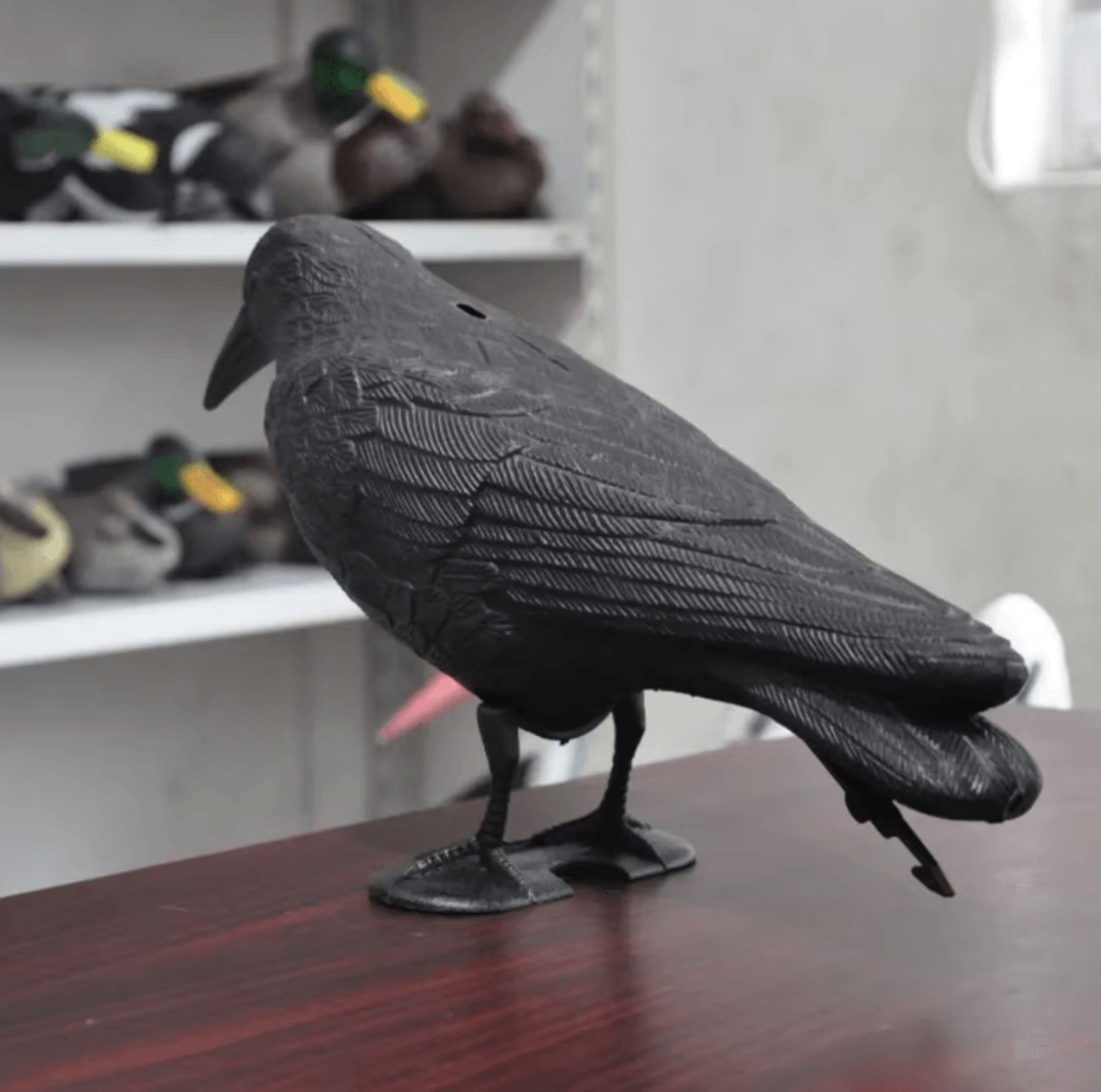 Outdoor Garden Bird Repellent Raven Decoy  Black Simulation Crow Decoration For Pest Control And Pi 2