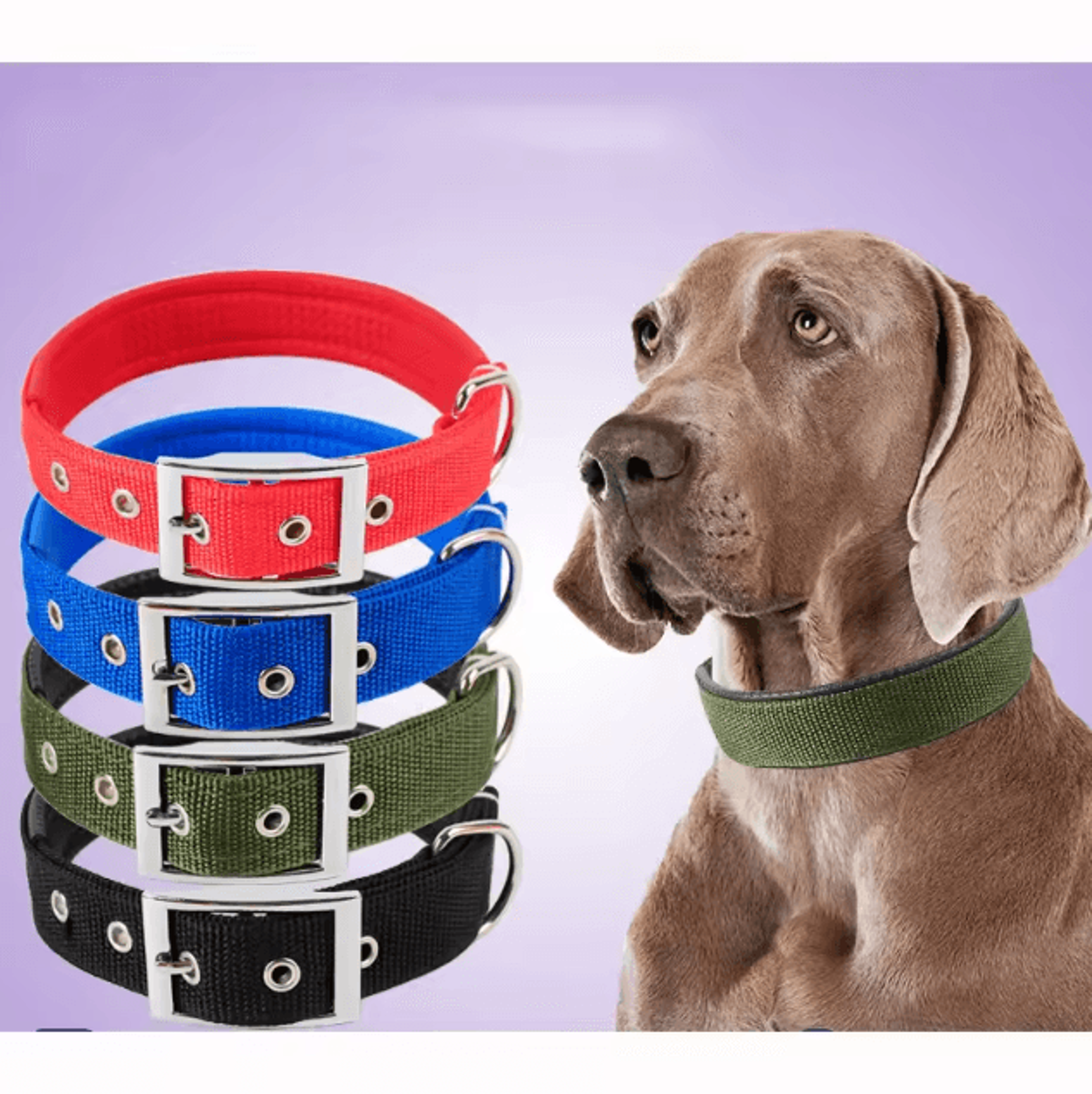 Solid Nylon Dog Collar  Adjustable Collar For Small Medium  Large Dogs 0