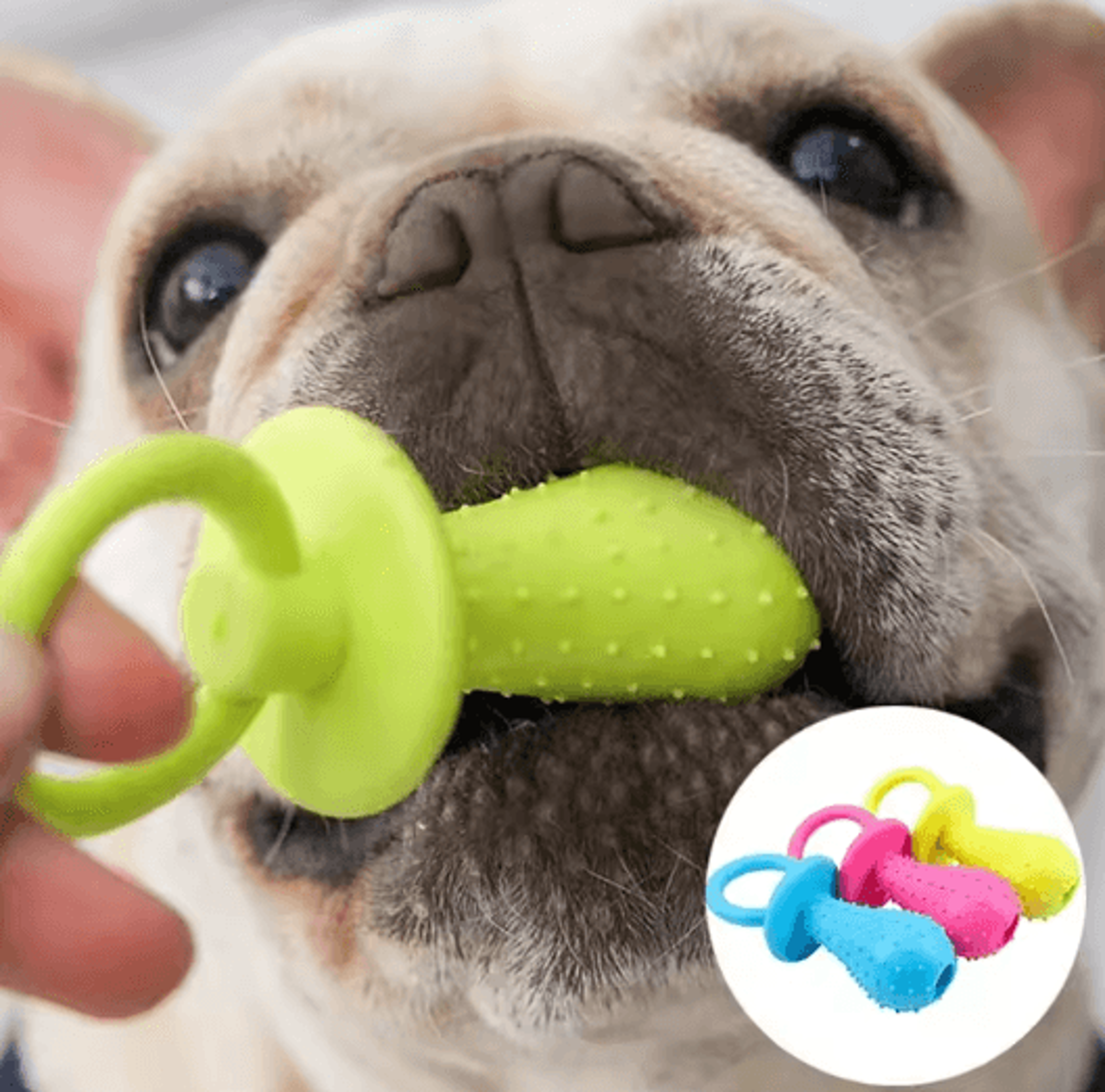 Indestructible Dog Chew Toy  Teeth Cleaning Training Toy For Small Medium  Large Dogs 0