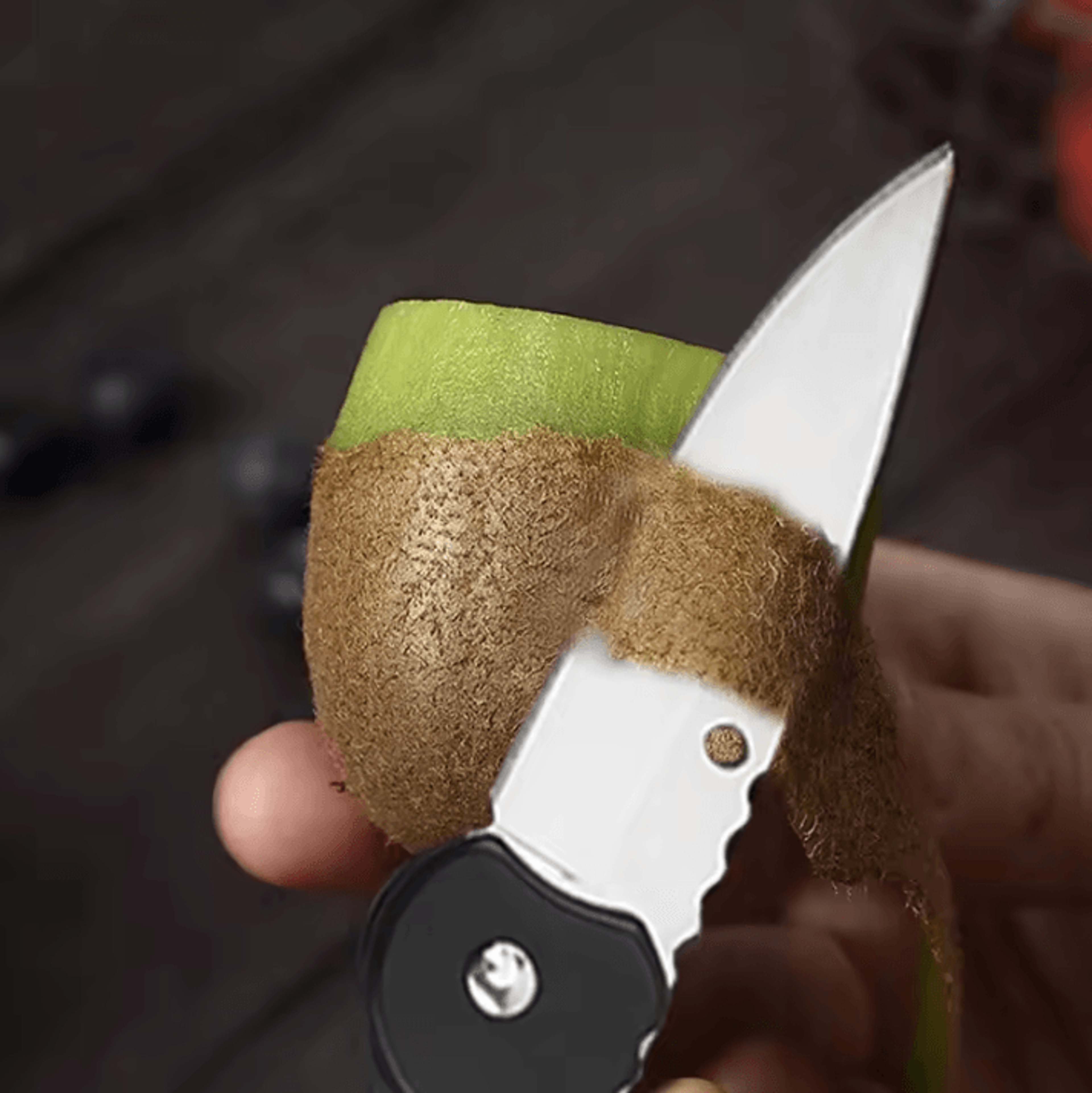 Portable Folding Fruit Knife With Keychain  Mini Stainless Steel Pocket Knife For Everyday Use 1
