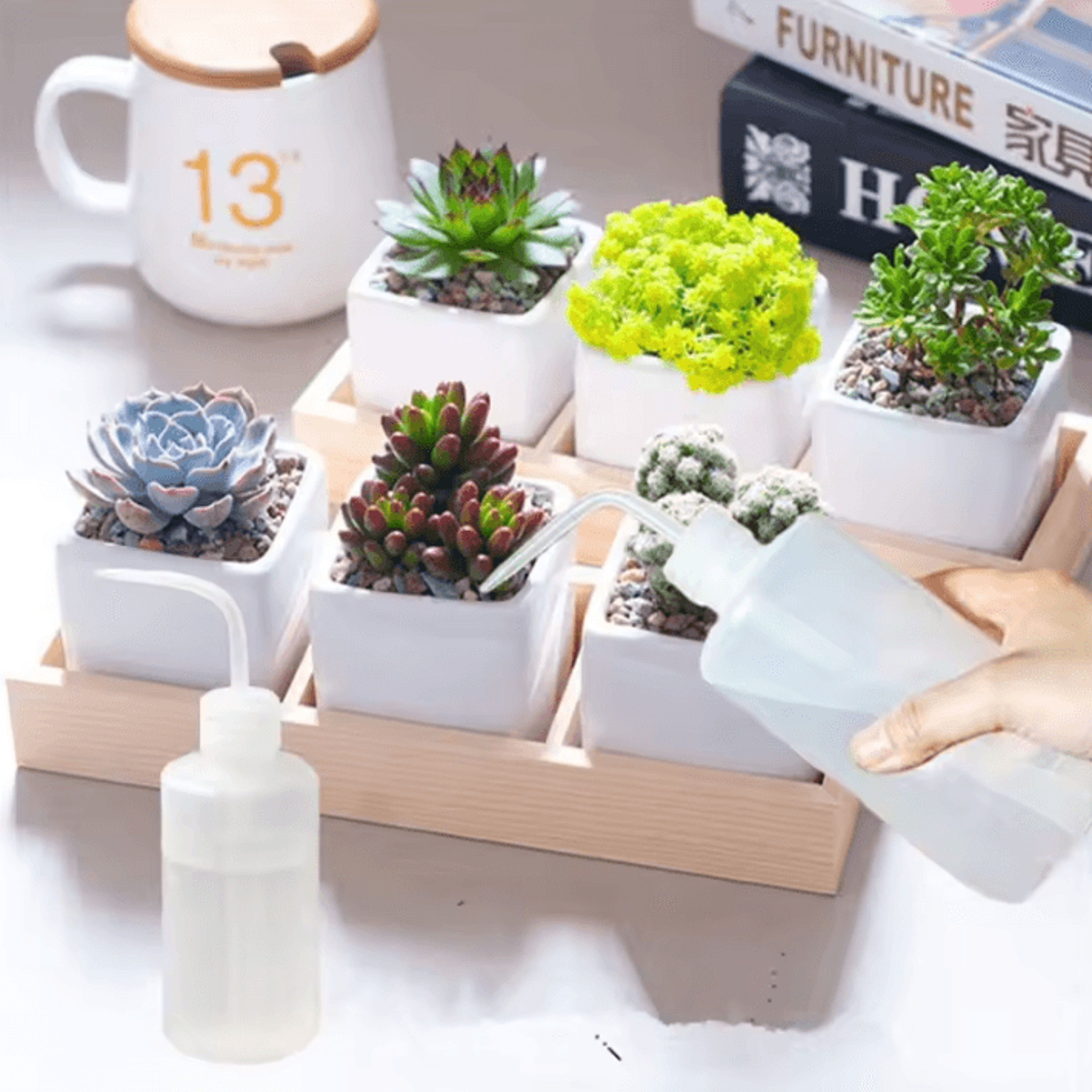 Professional Tattoo Squeeze Wash Bottle  Green Soap Diffuser 250ml  500ml  1000ml 3
