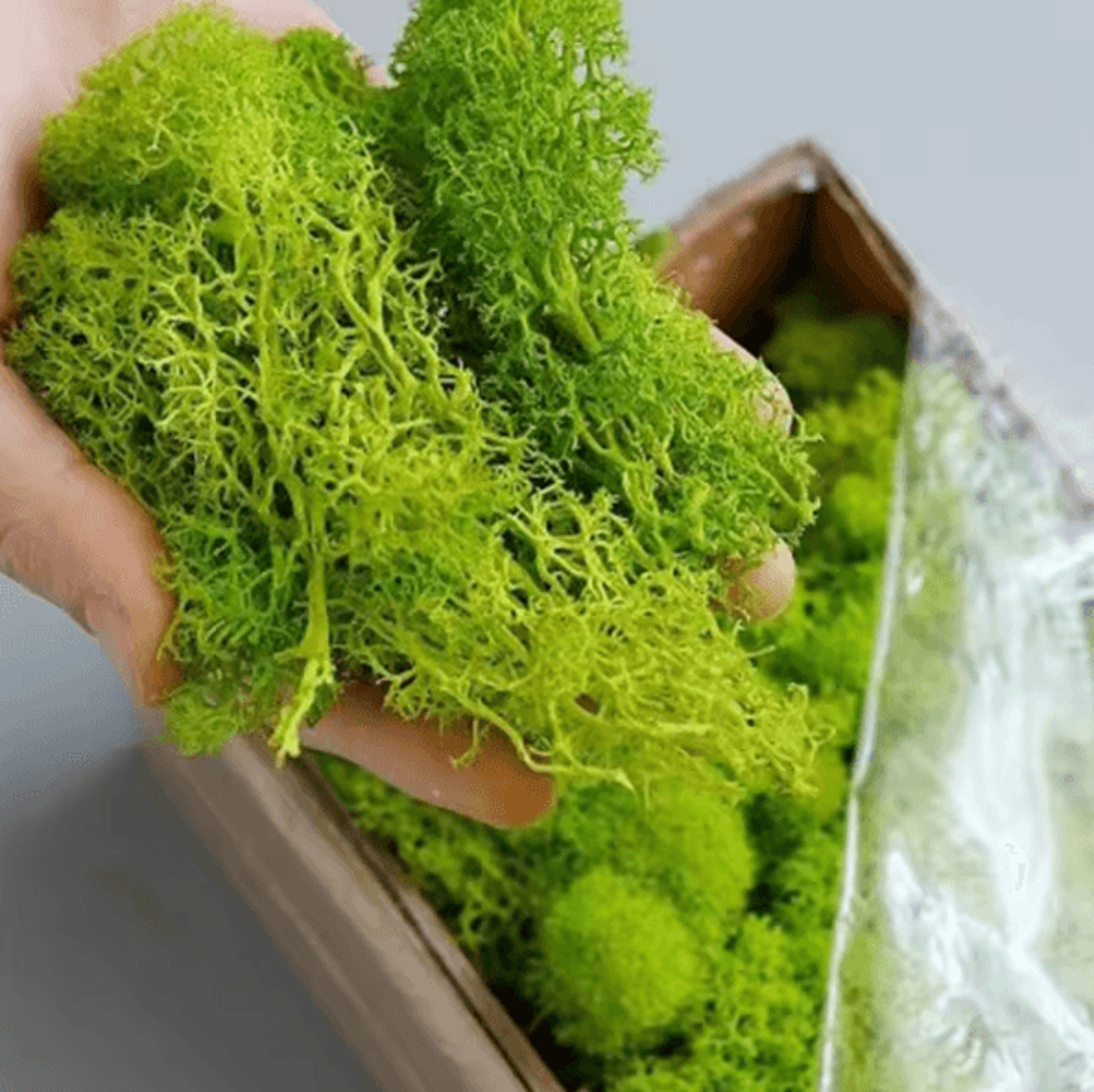 Artificial Moss Grass  Realistic Mini Landscape Moss For DIY Crafts Home  Garden Decor 0