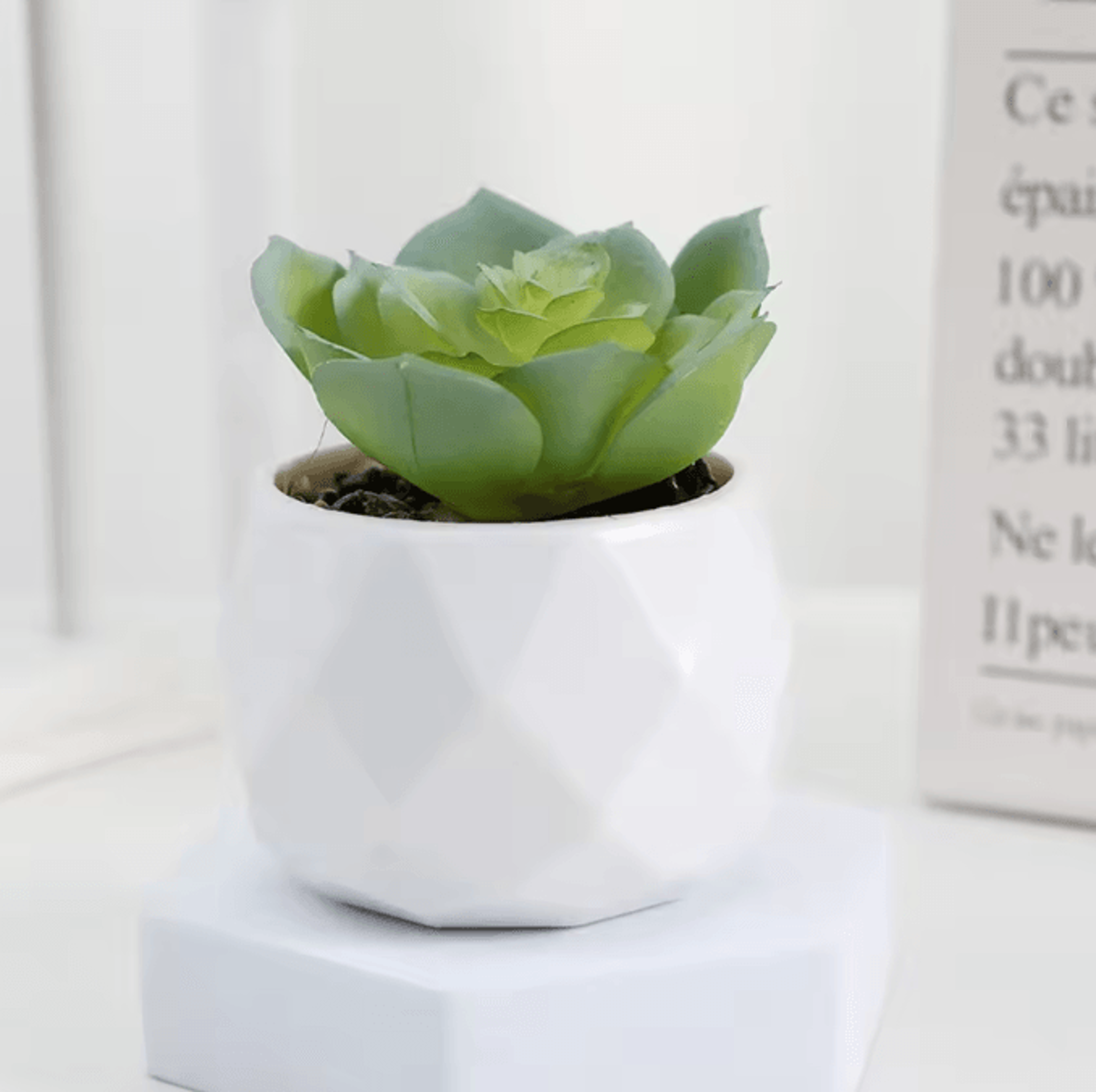 Mini Artificial Succulent Bonsai Plants Realistic Fake Greenery Decor For Desk And Home 9
