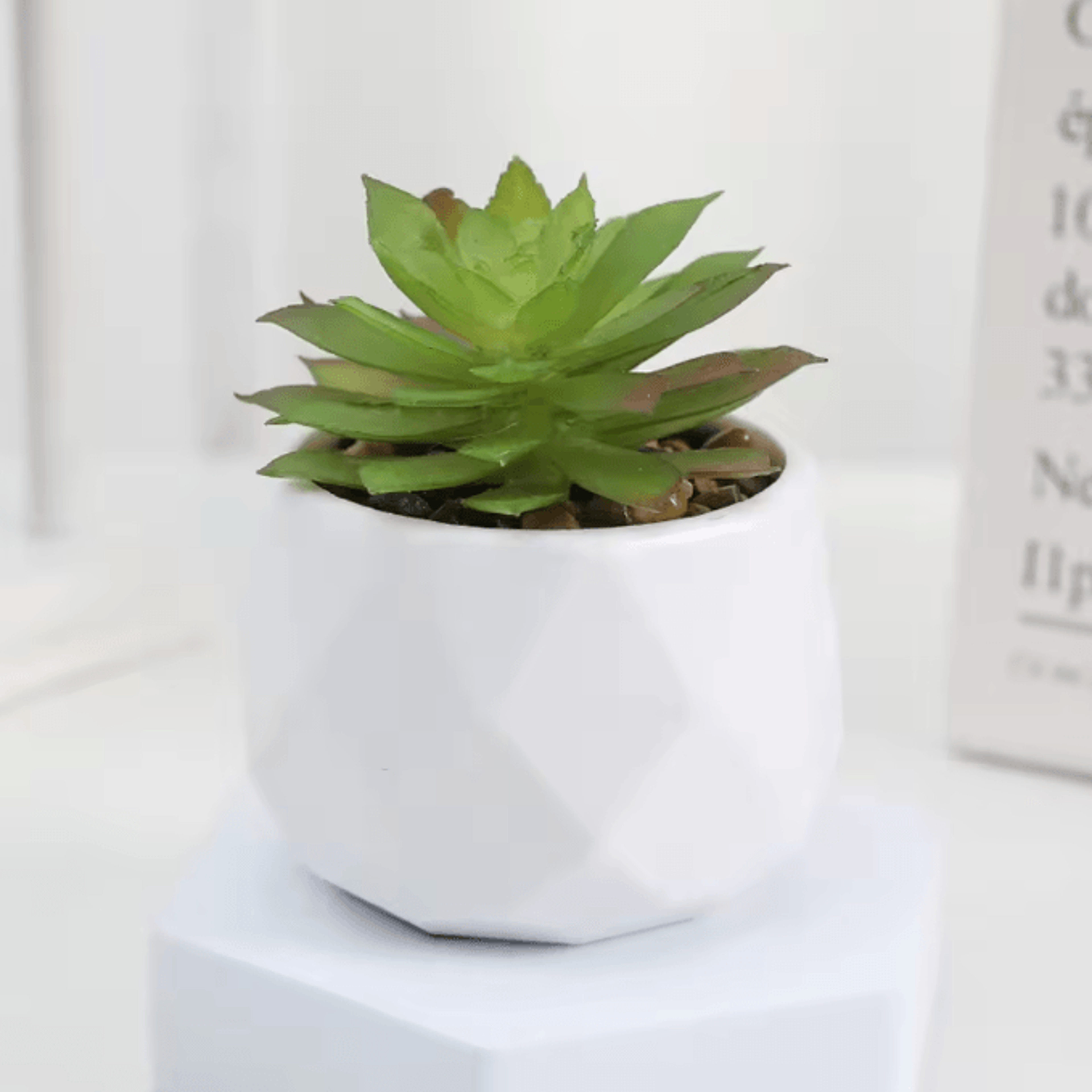 Mini Artificial Succulent Bonsai Plants Realistic Fake Greenery Decor For Desk And Home 6