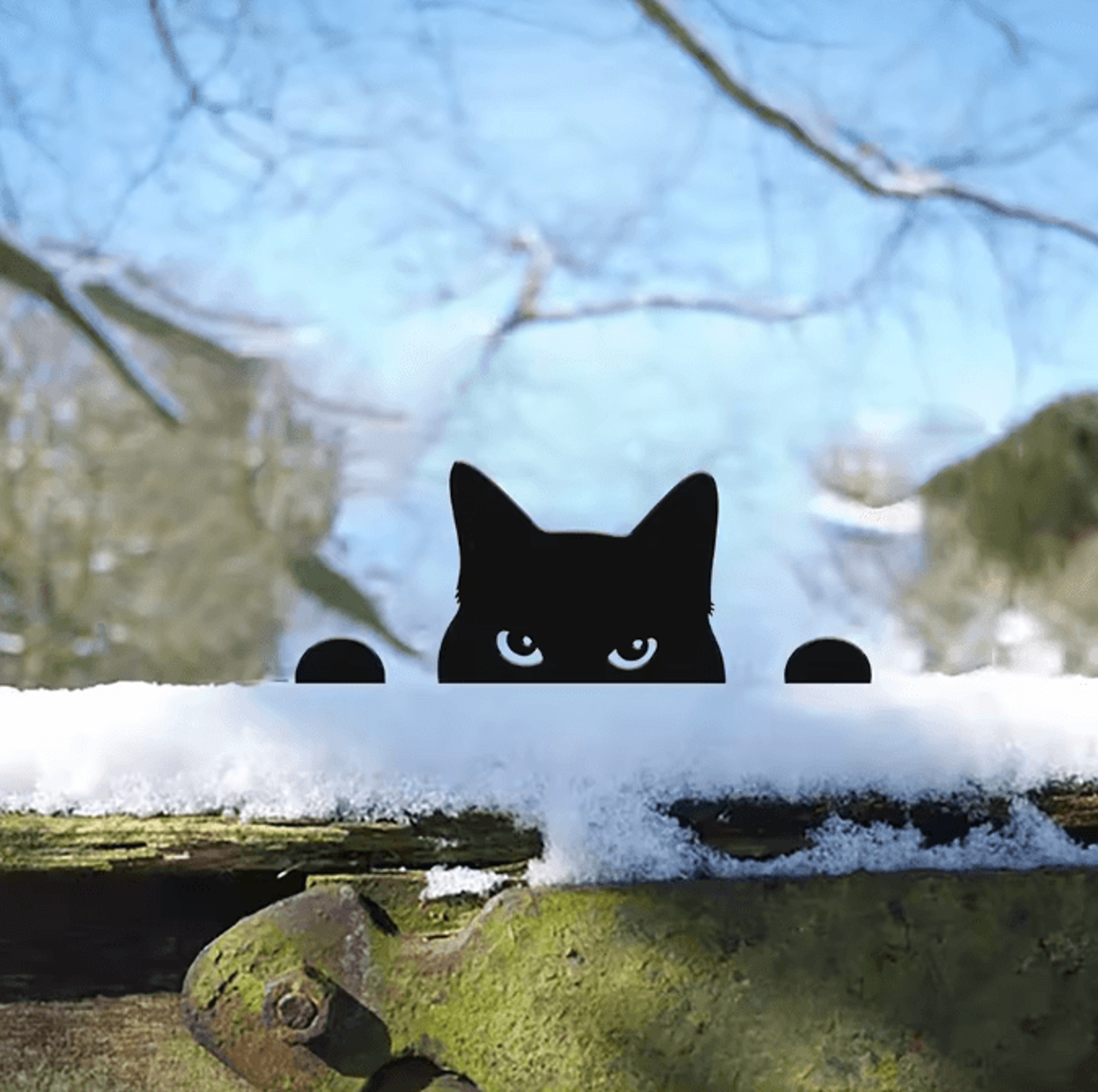 Black Metal Peeping Cat Garden Stake  Whimsical Silhouette Yard Decor 2