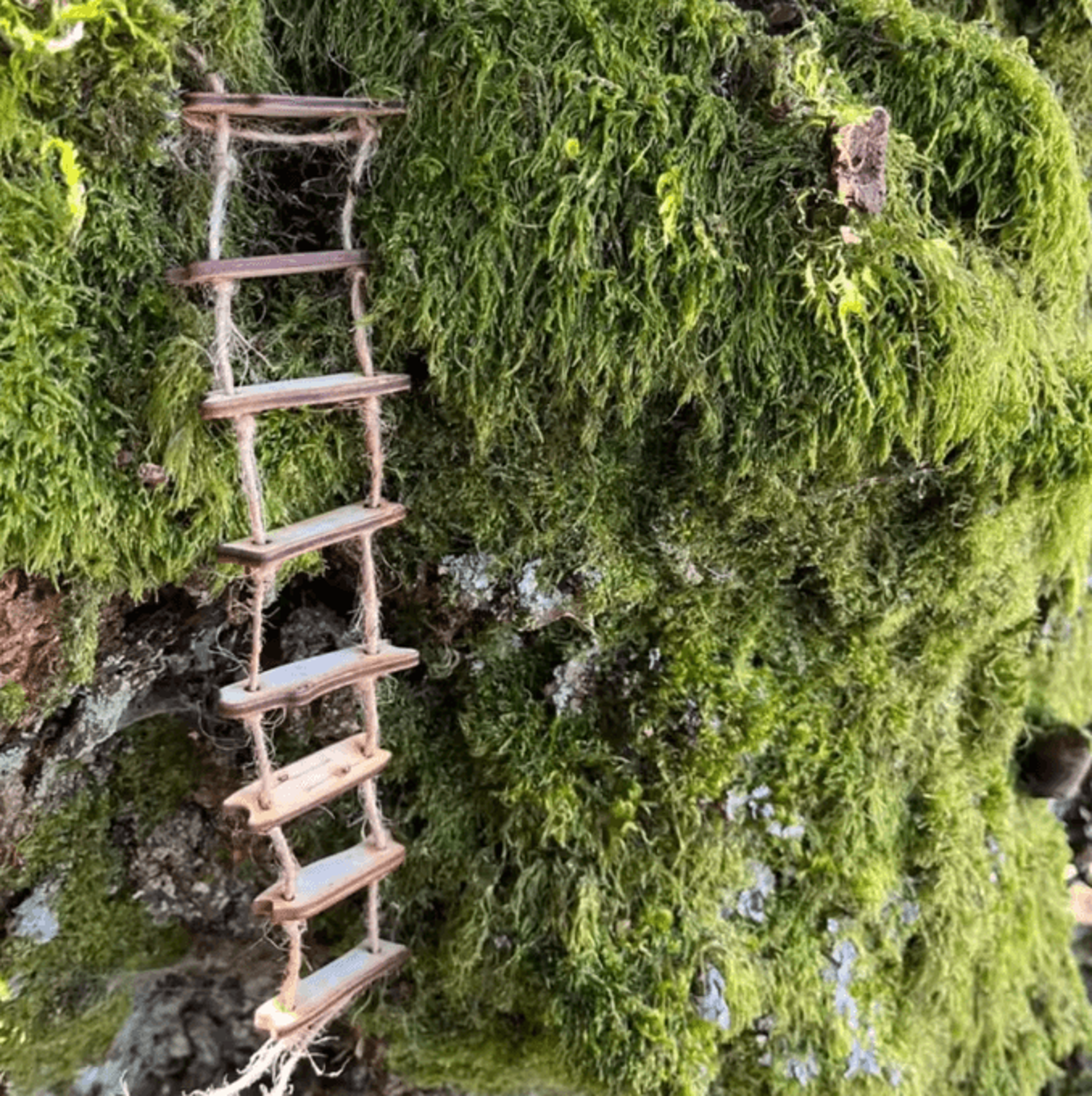 Mini Wooden Fairy Bridge Rope Ladder  Whimsical Garden Decor For Mini Landscapes  Photography 3
