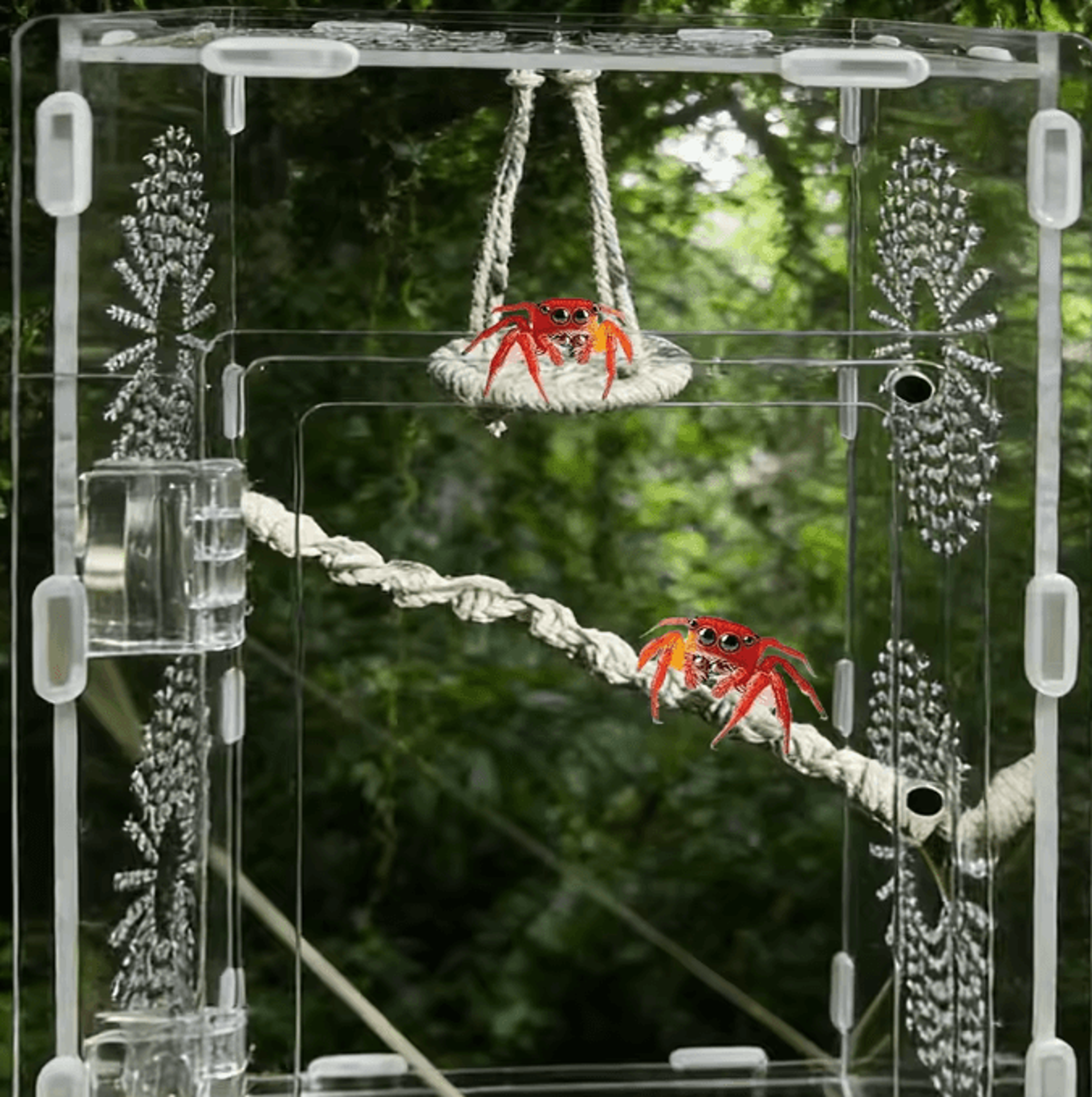 Jumping Spider Rope Bridge Ladder  Climbing Habitat Decor For Gecko Hermit Crab  Reptile Enclosures 0