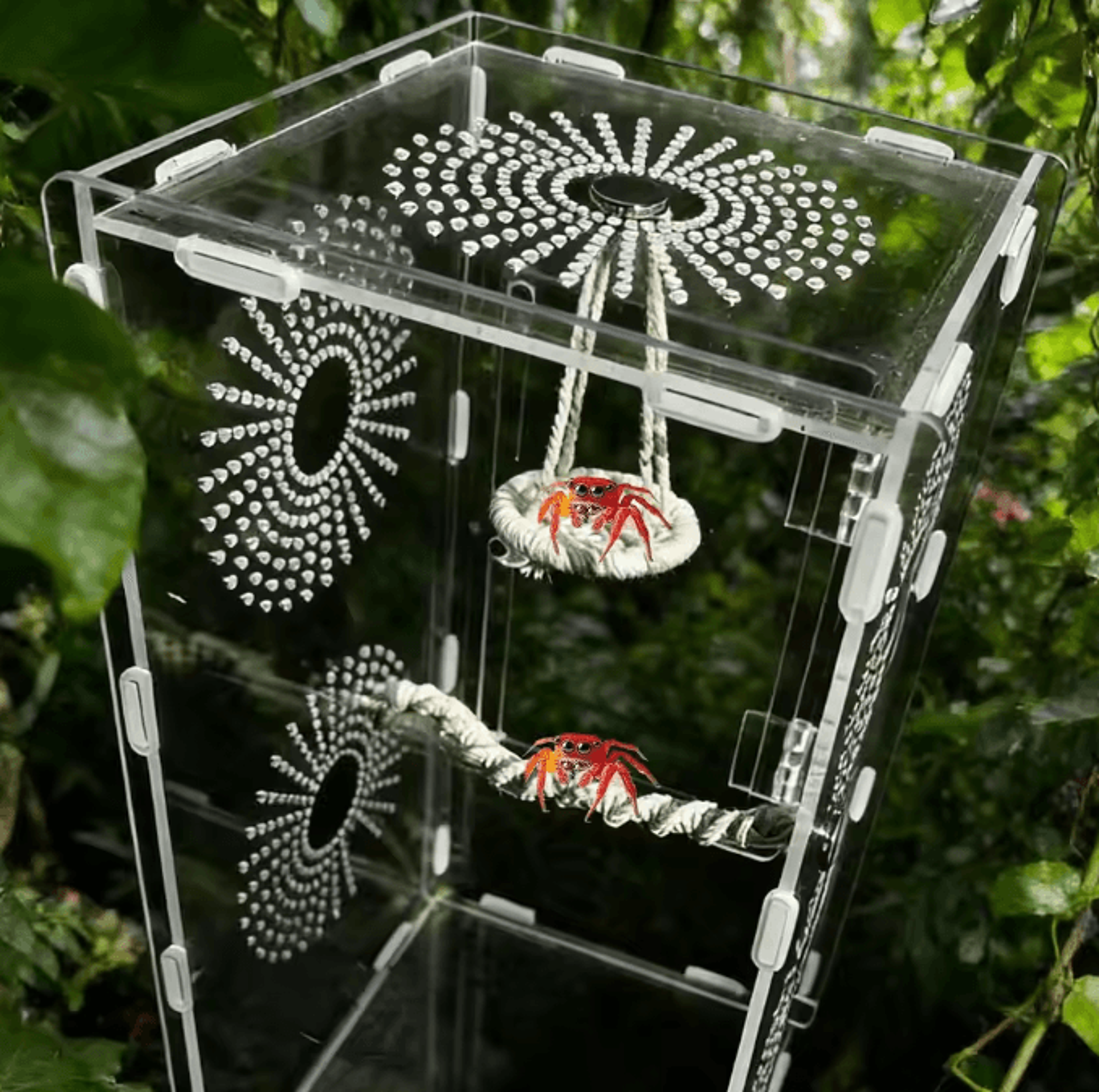 Jumping Spider Rope Bridge Ladder  Climbing Habitat Decor For Gecko Hermit Crab  Reptile Enclosures 1