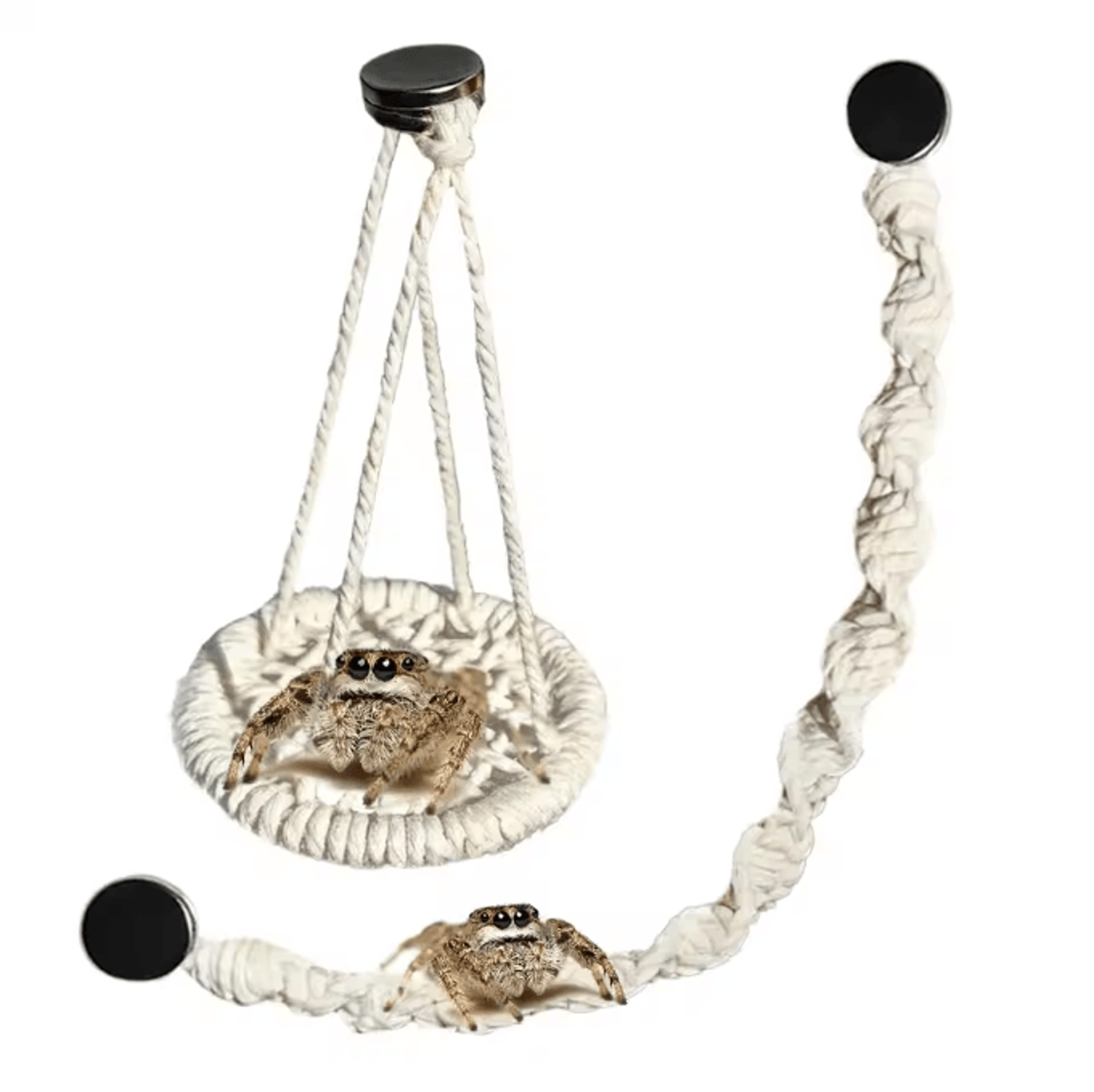 Jumping Spider Rope Bridge Ladder  Climbing Habitat Decor For Gecko Hermit Crab  Reptile Enclosures 4